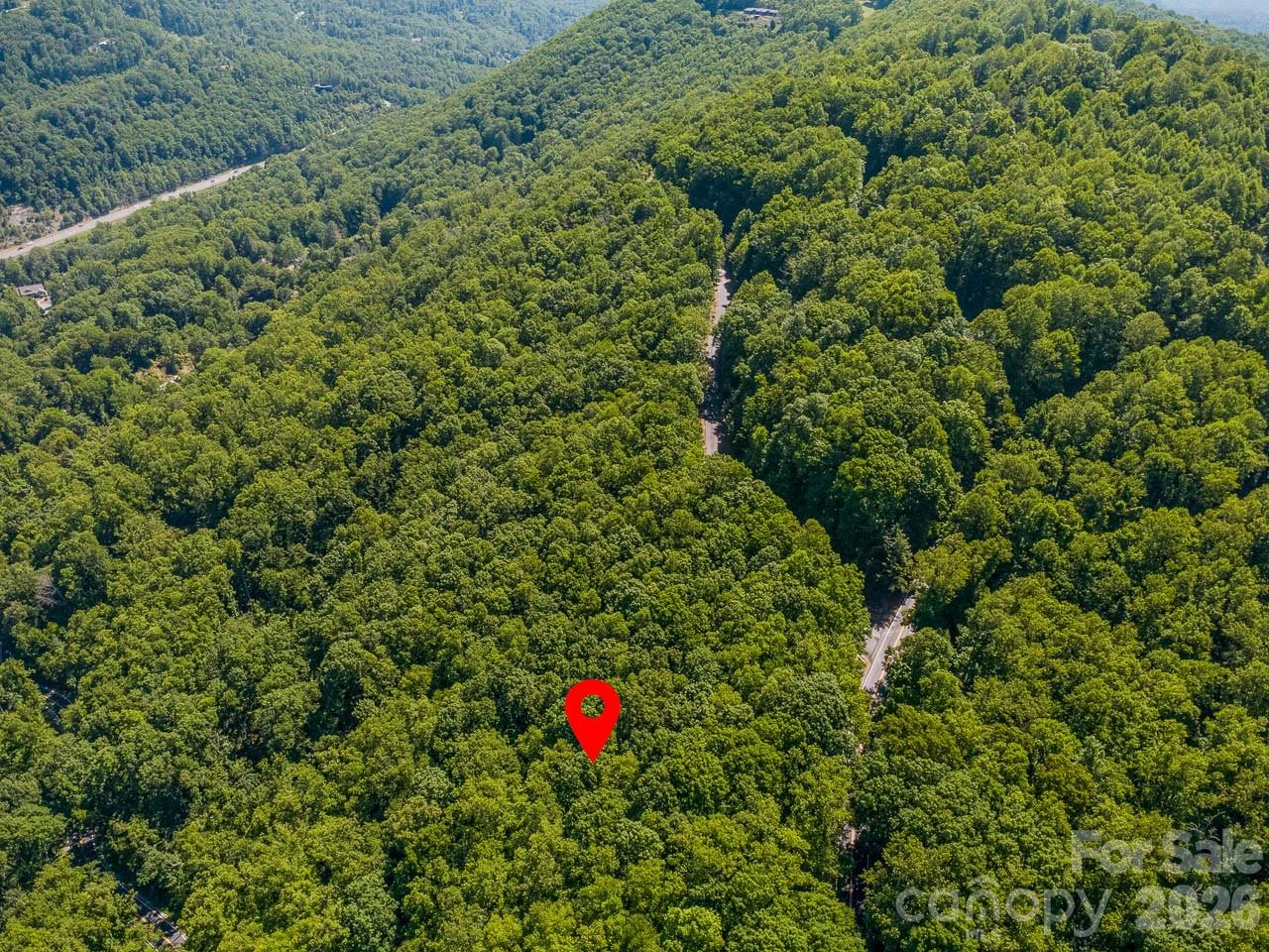Lot 3 Cedar Mountain Road #3 - Photo 12