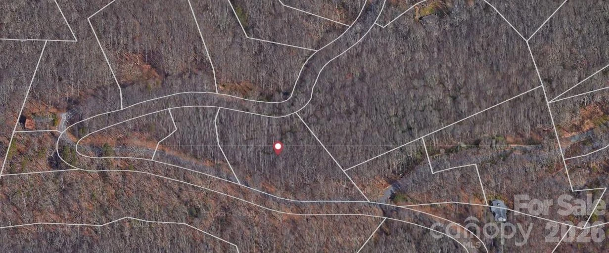 Lot 3 Cedar Mountain Road #3 - Photo 5