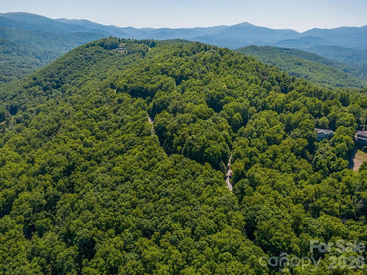 Lot 3 Cedar Mountain Road #3 - Photo 6