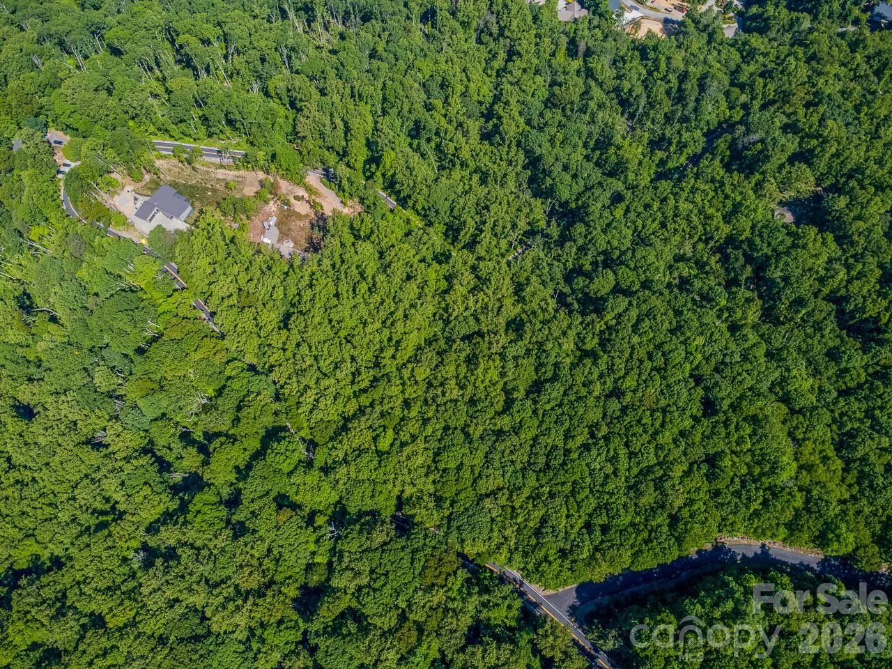 Lot 3 Cedar Mountain Road #3 - Photo 9