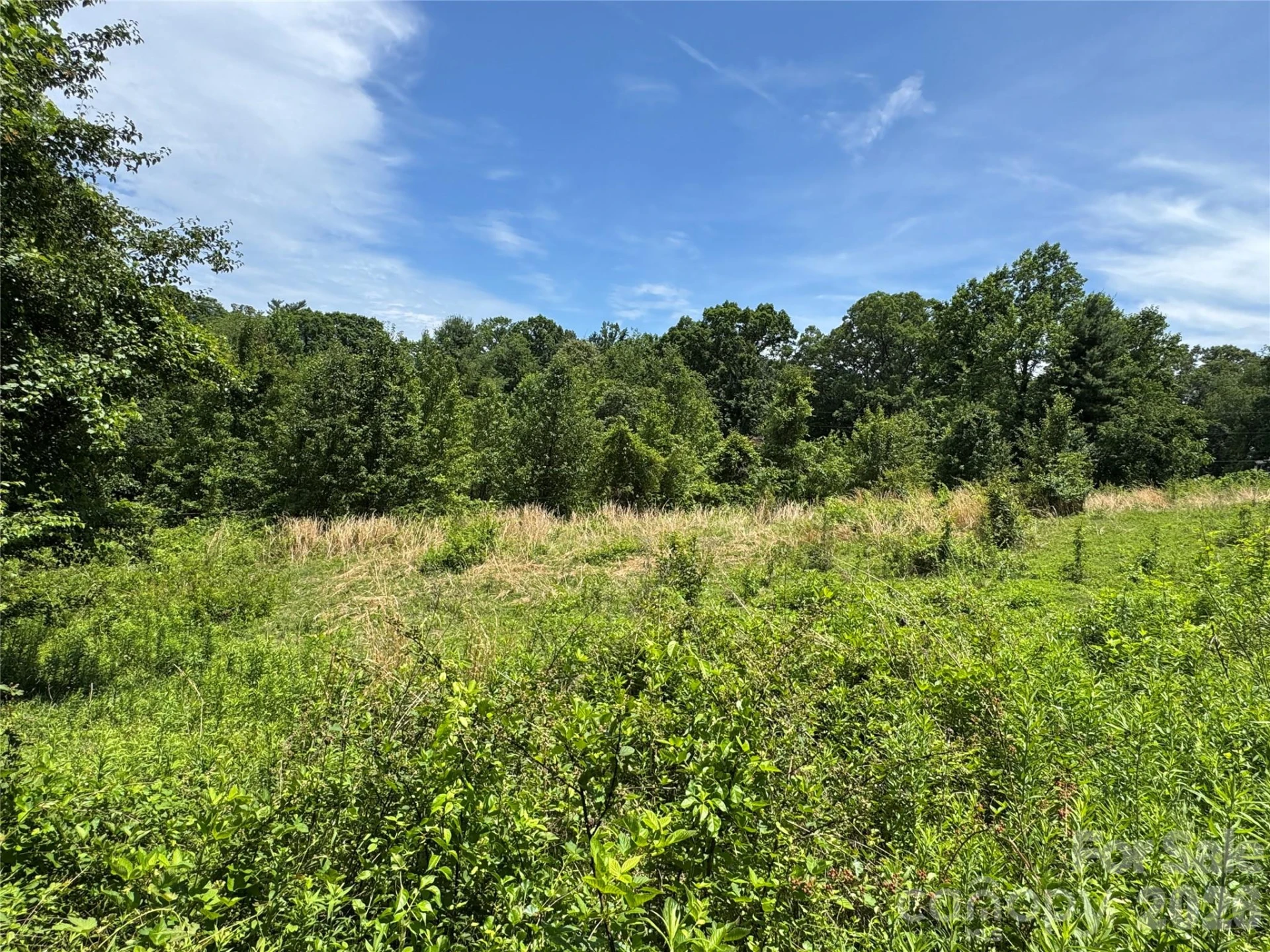 99999 Duckett Road - Photo 19