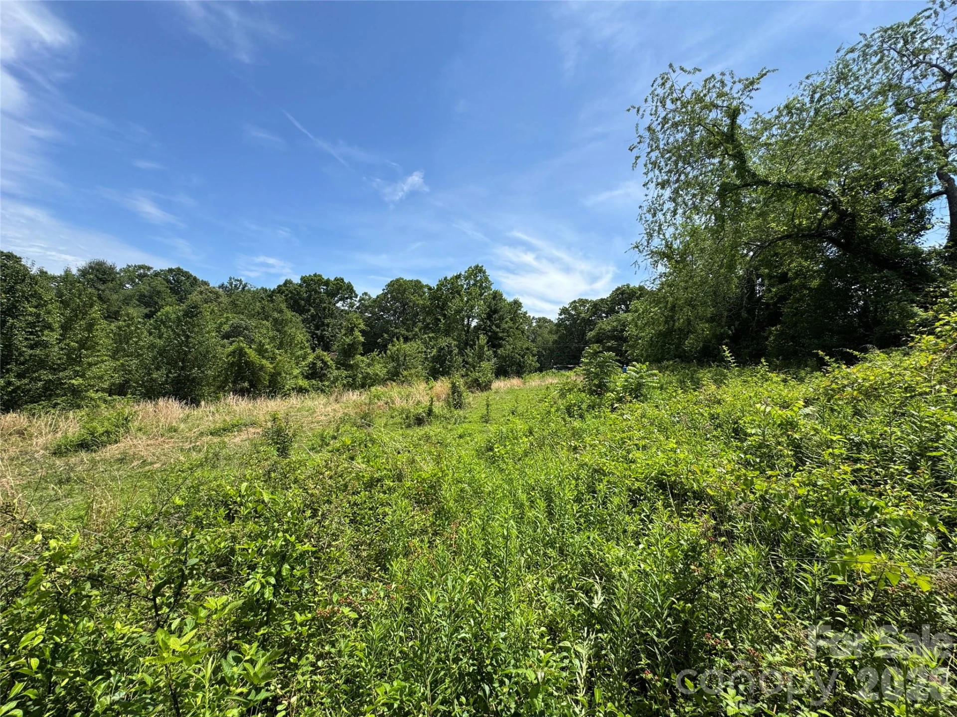99999 Duckett Road - Photo 20