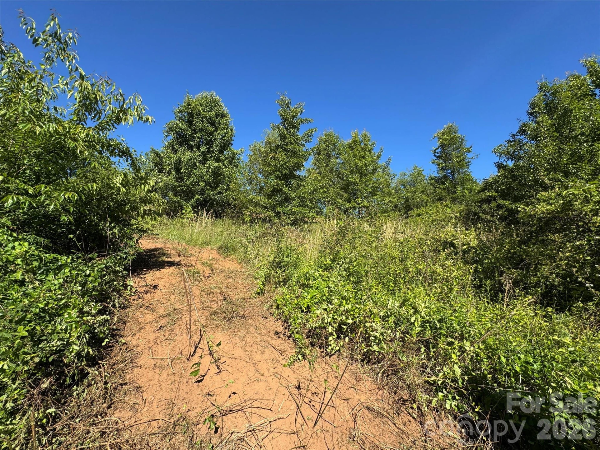 99999 Duckett Road - Photo 7