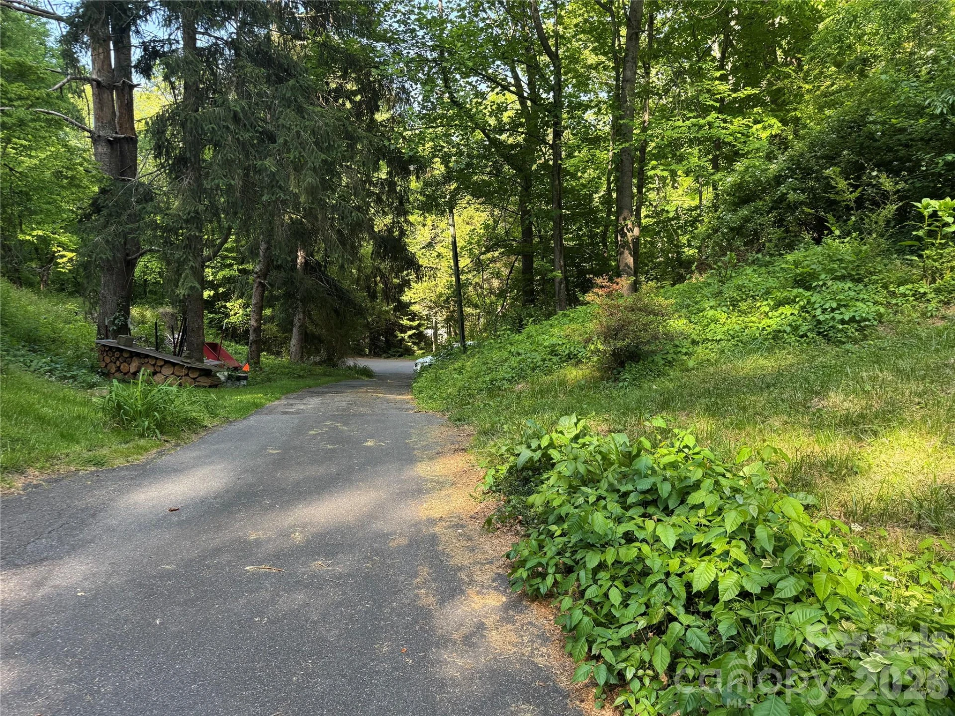 814 Mountain View Drive - Photo 4