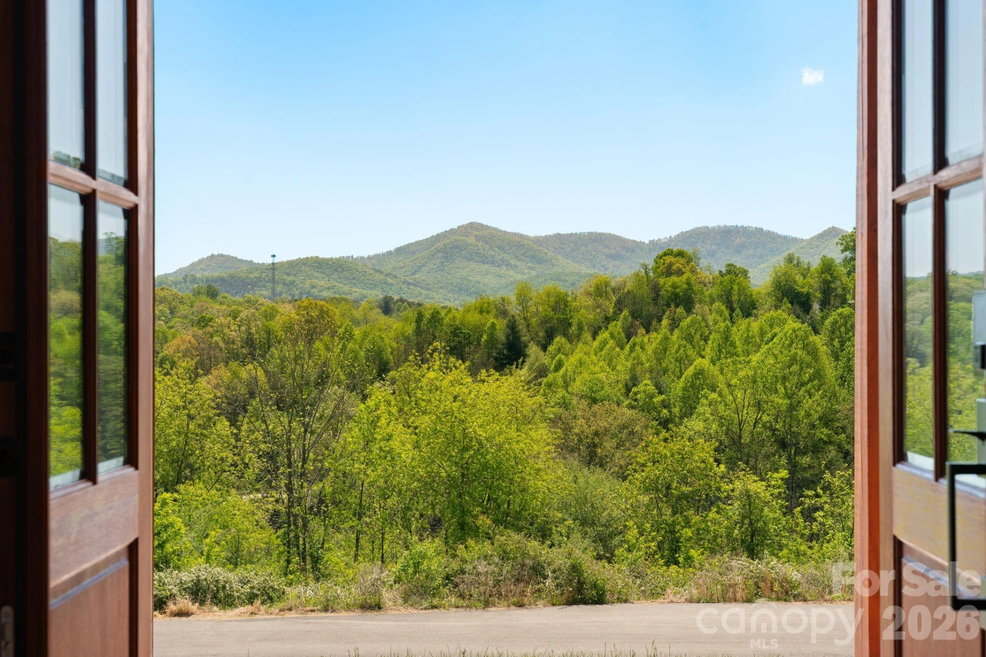 111 Pisgah Gap Drive - Photo 8
