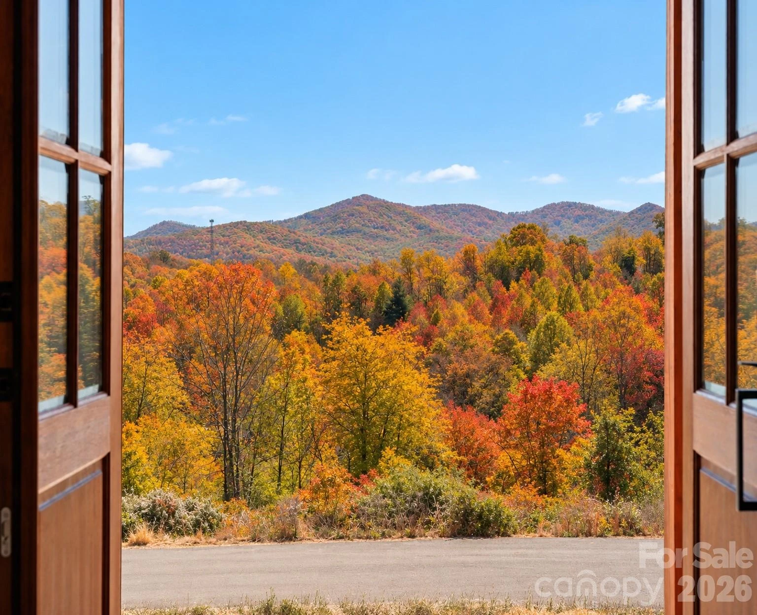 111 Pisgah Gap Drive - Photo 7