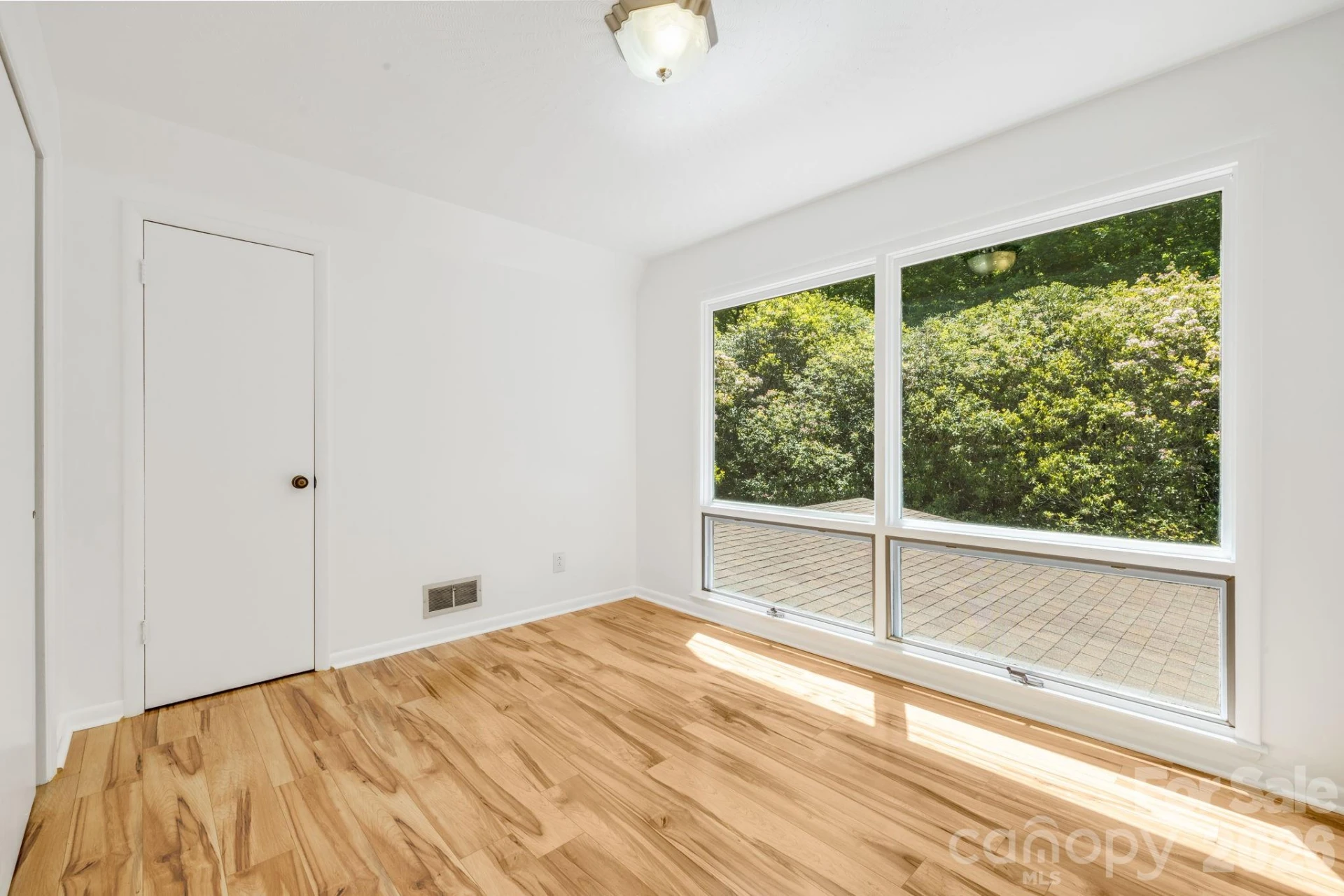 45 Echo Hills Drive - Photo 14