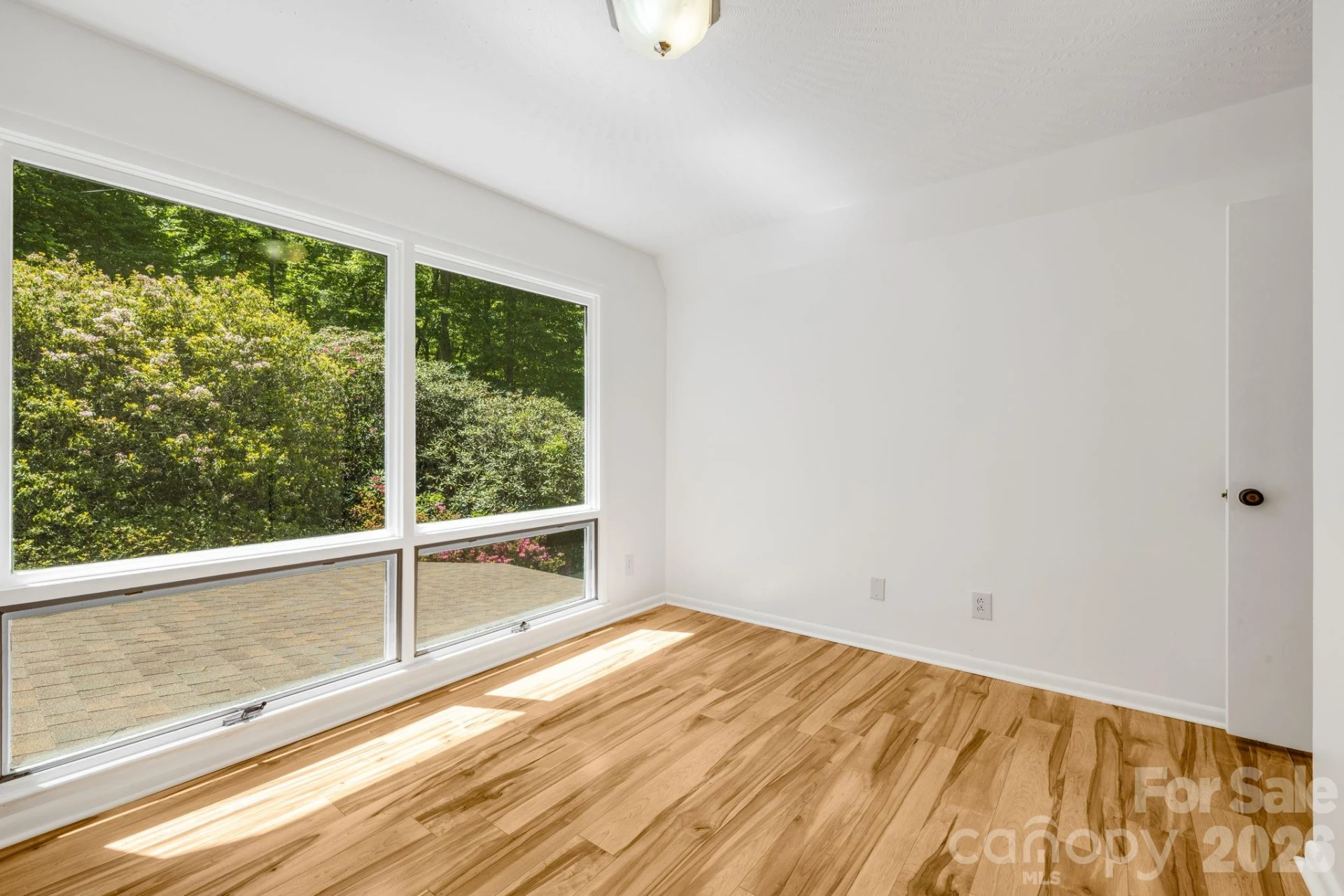 45 Echo Hills Drive - Photo 15