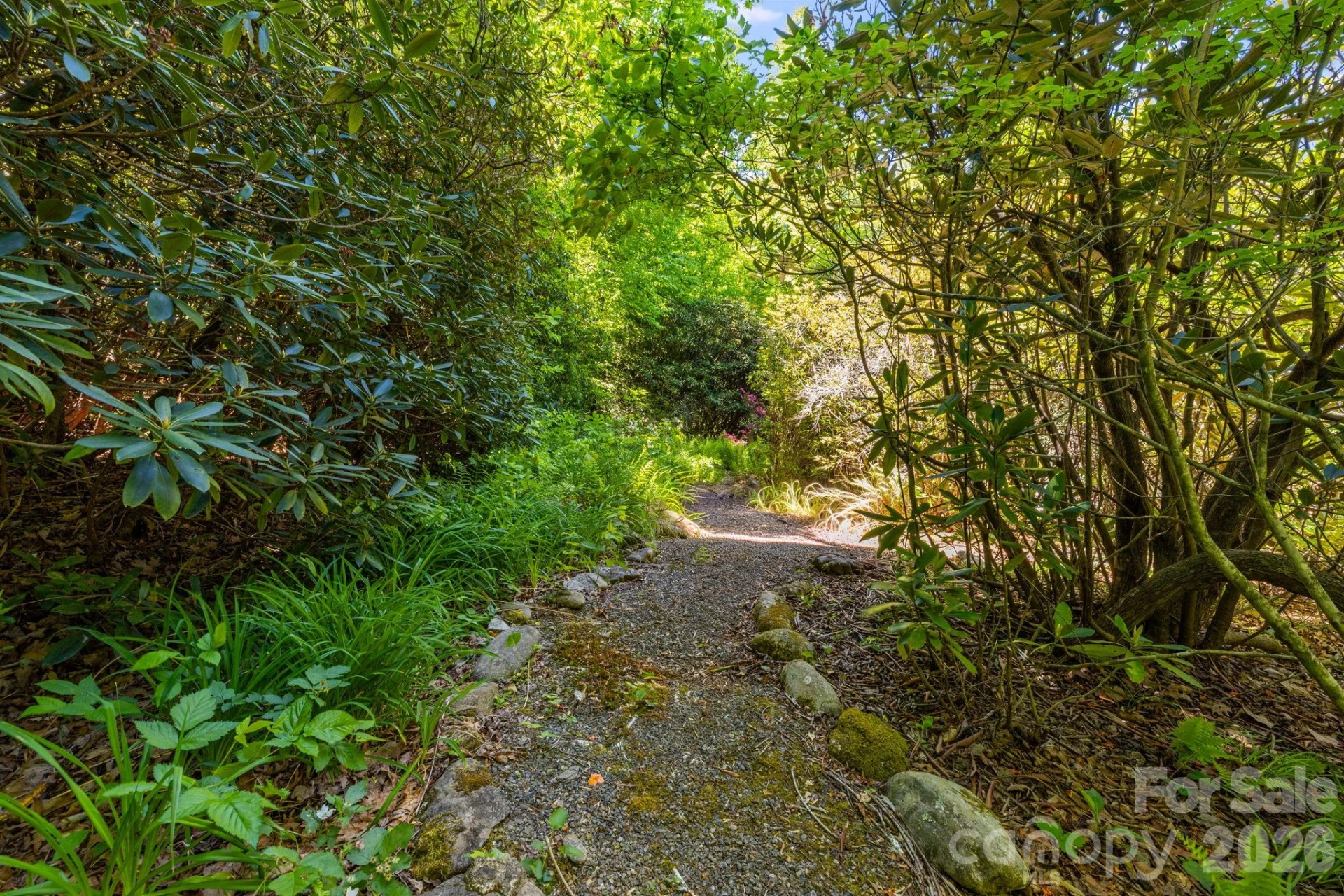 45 Echo Hills Drive - Photo 21