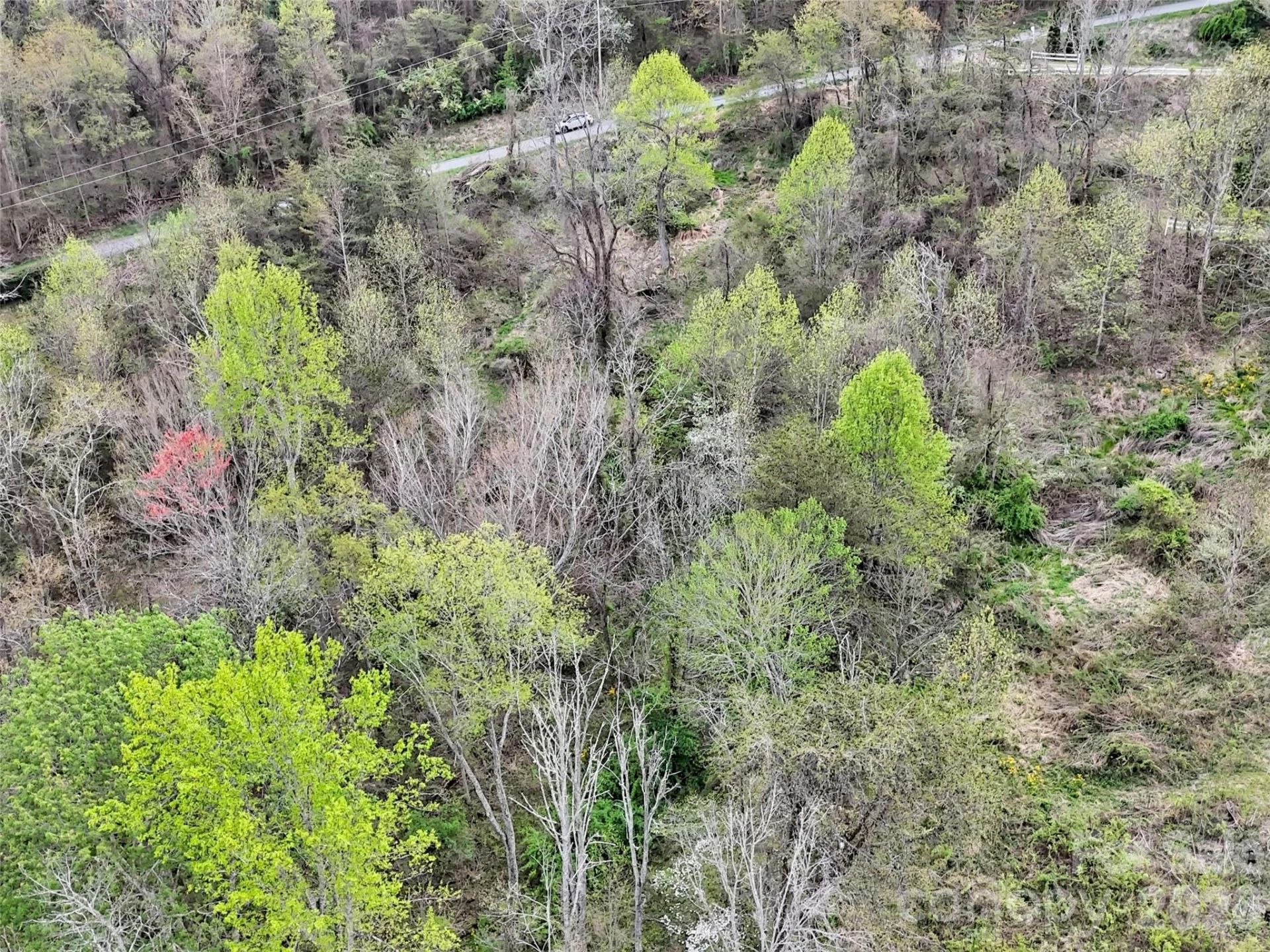 676 Cathey Cove Road - Photo 5