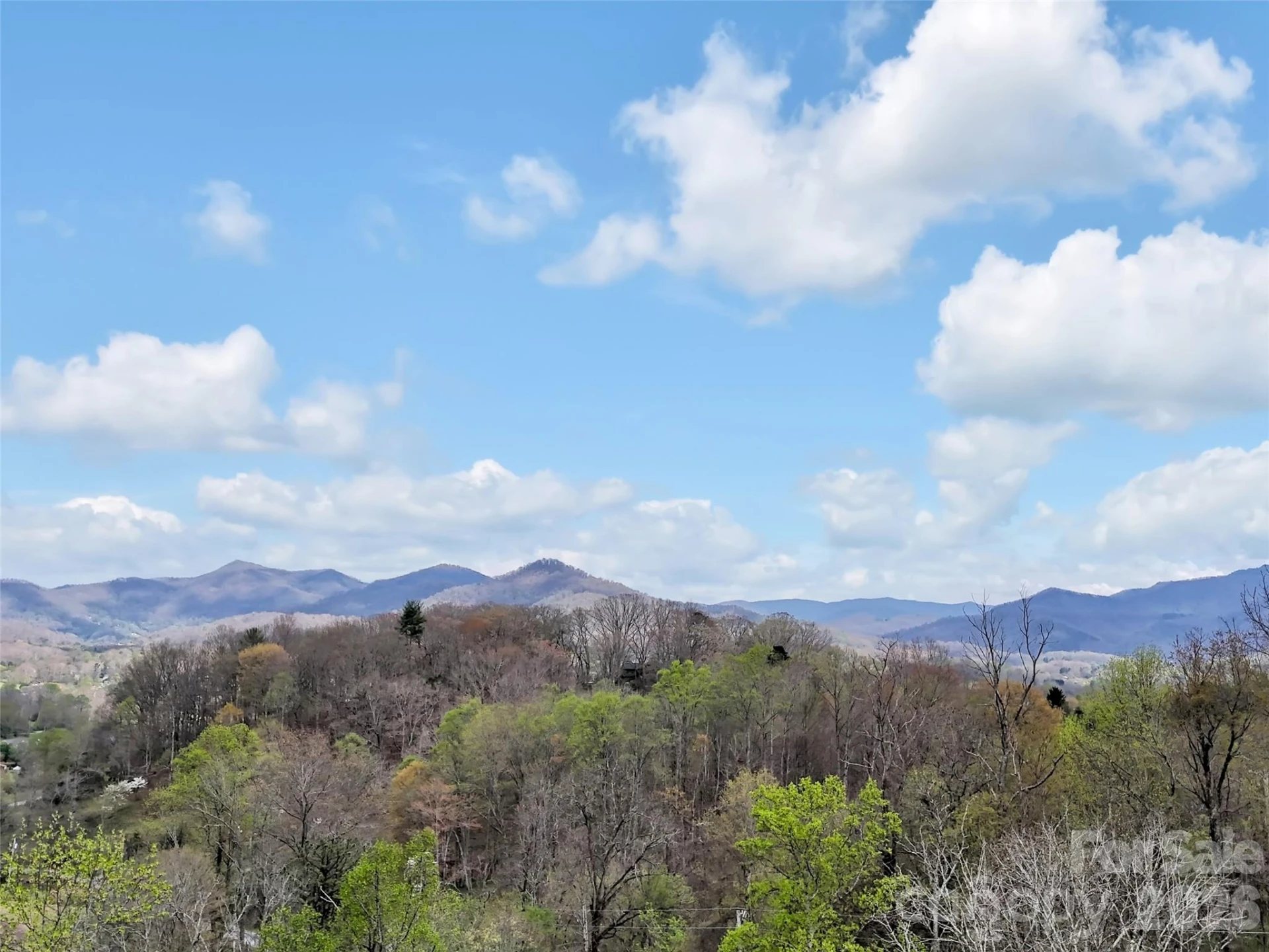 676 Cathey Cove Road - Photo 8
