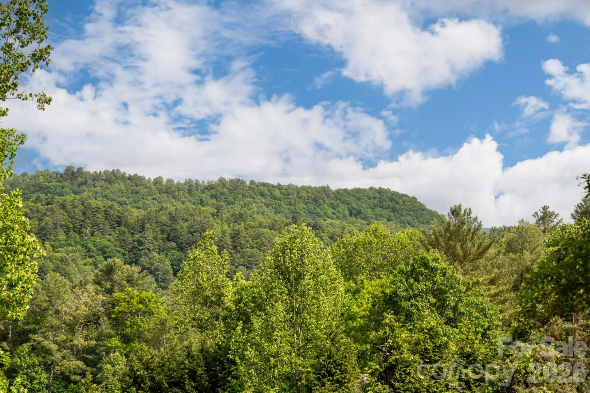 10 Terrapin Trail - Photo 33