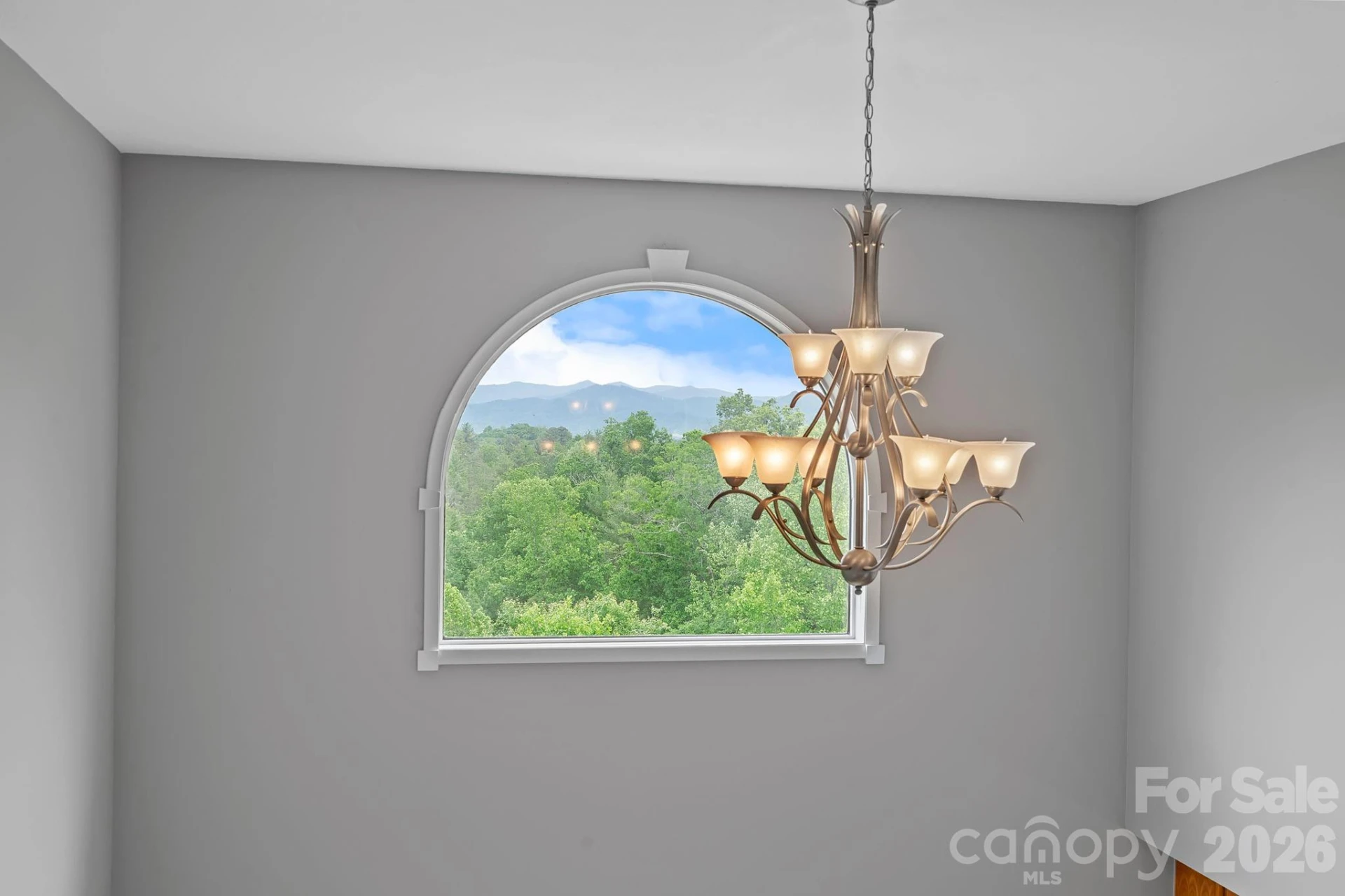 77 Paradise Ridge - Photo 25