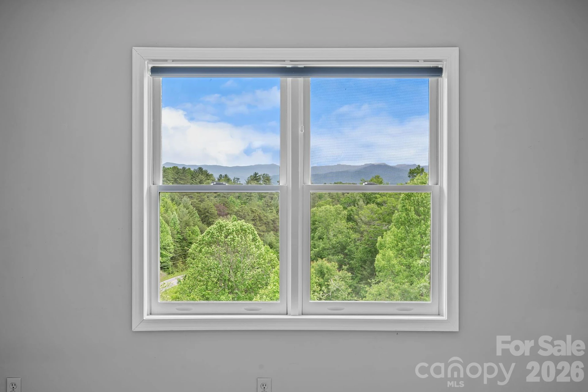 77 Paradise Ridge - Photo 27