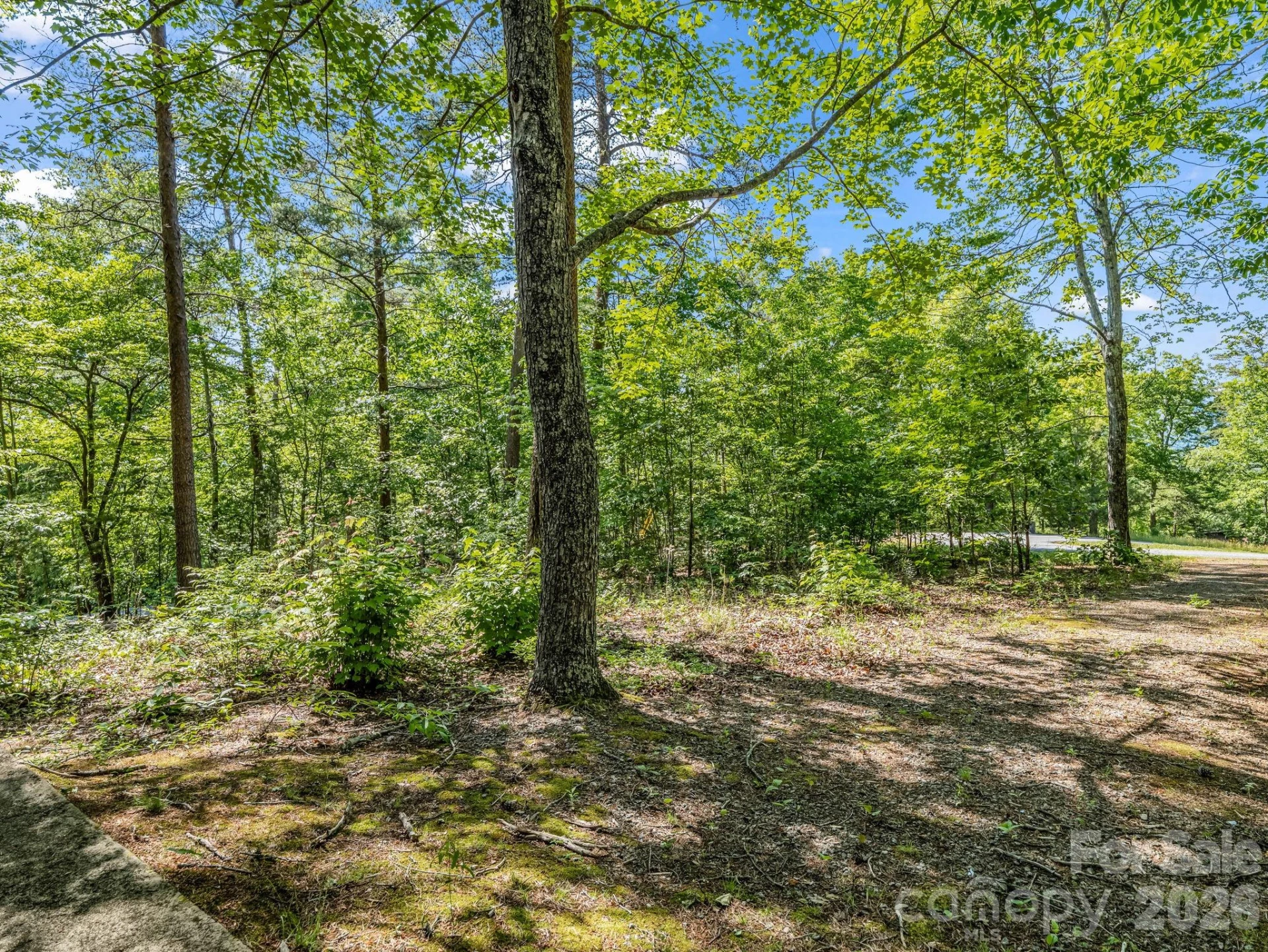 740 Justice Drive - Photo 10