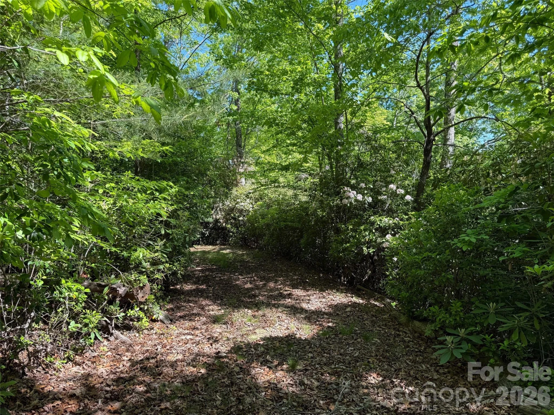 10C Reserve Road - Photo 11