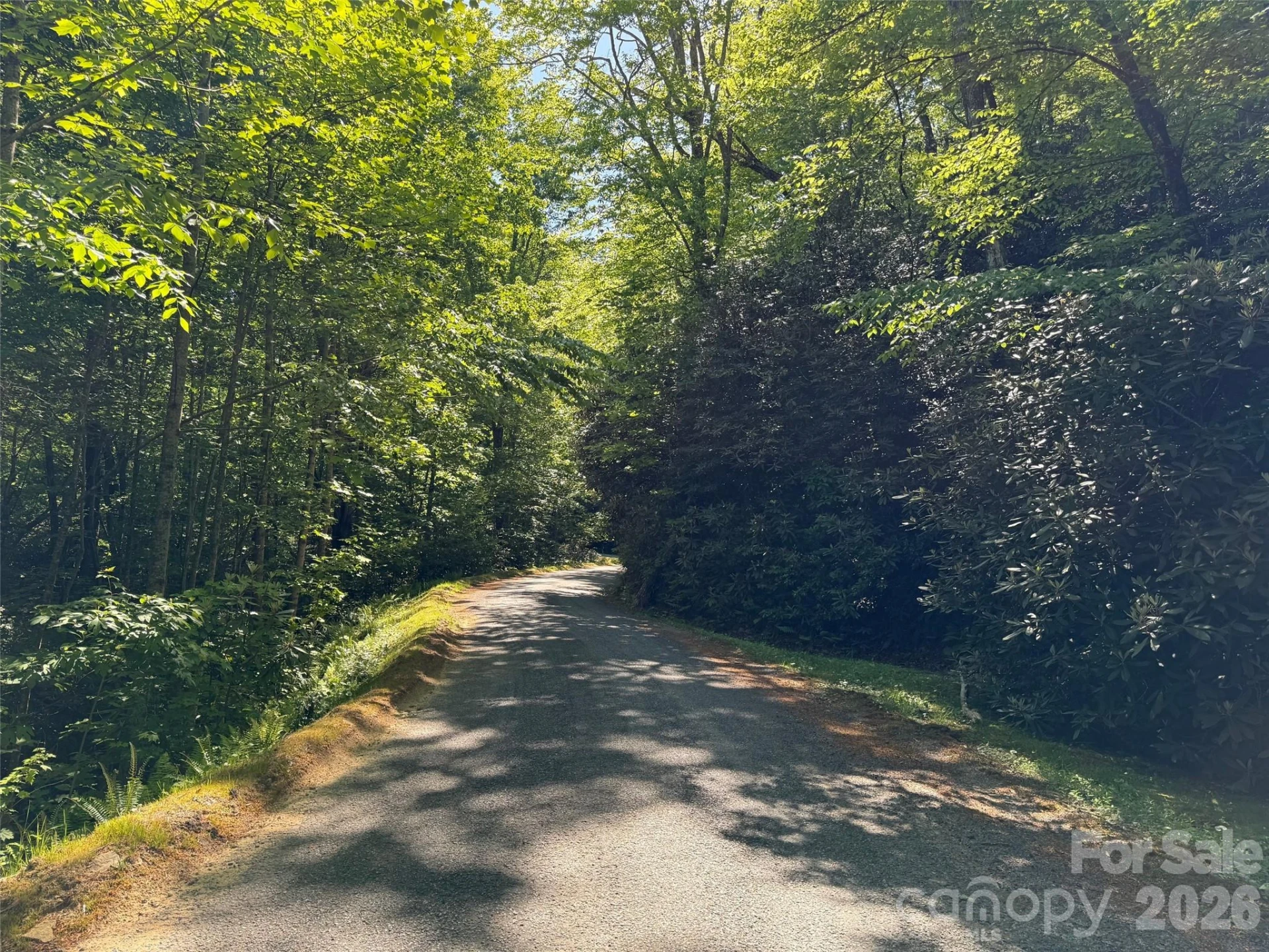 10C Reserve Road - Photo 3
