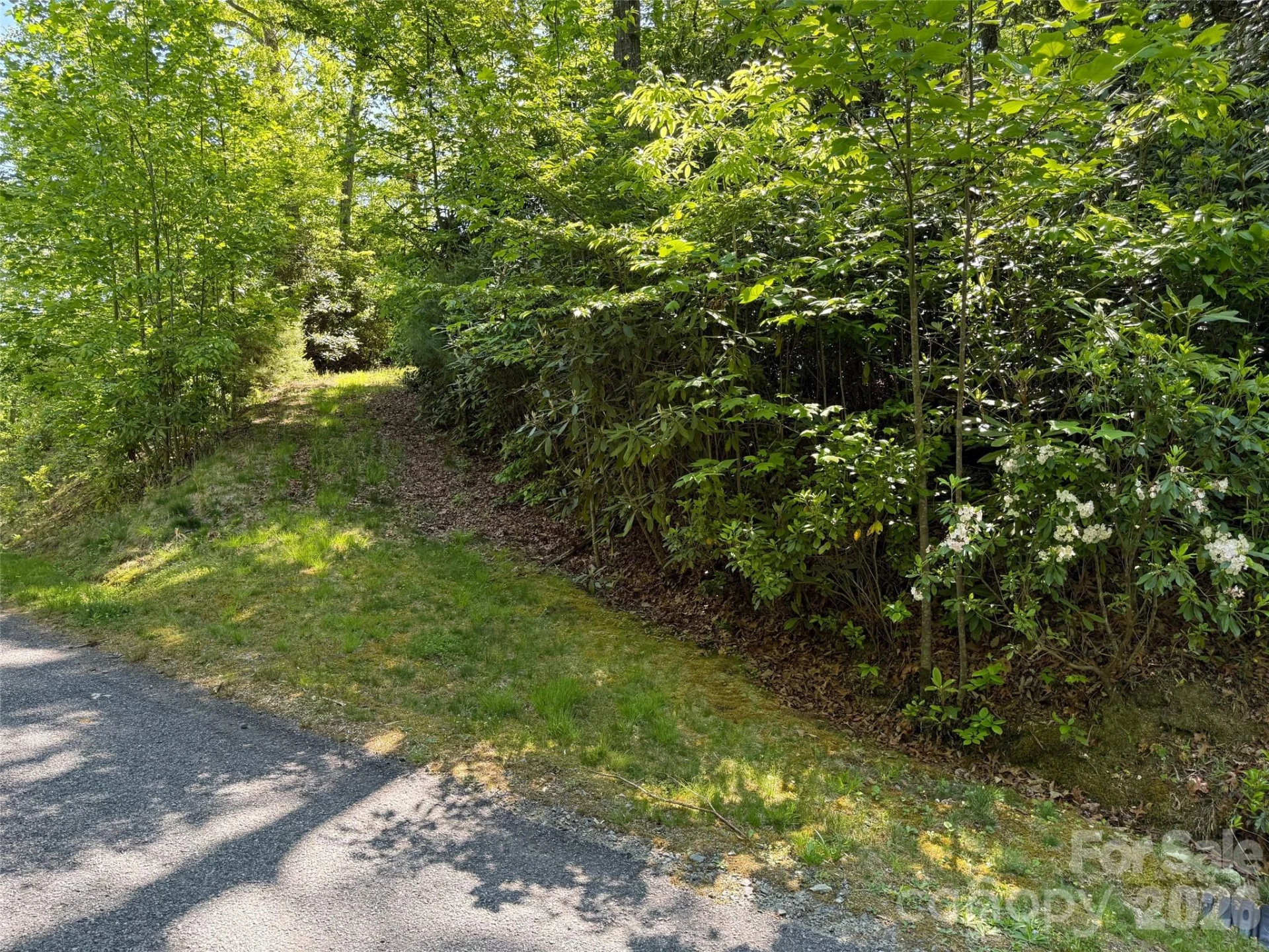 10C Reserve Road - Photo 4