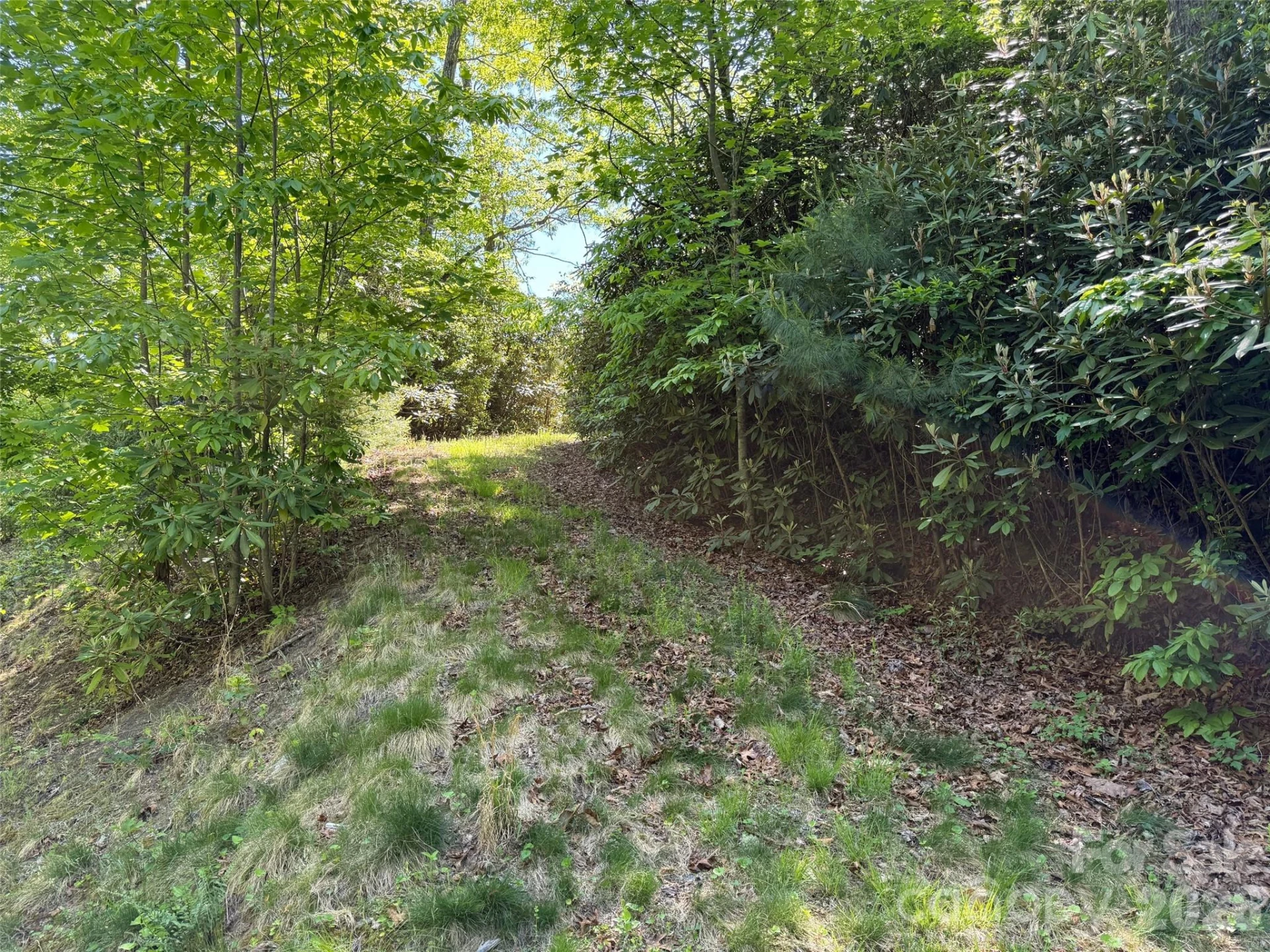 10C Reserve Road - Photo 5