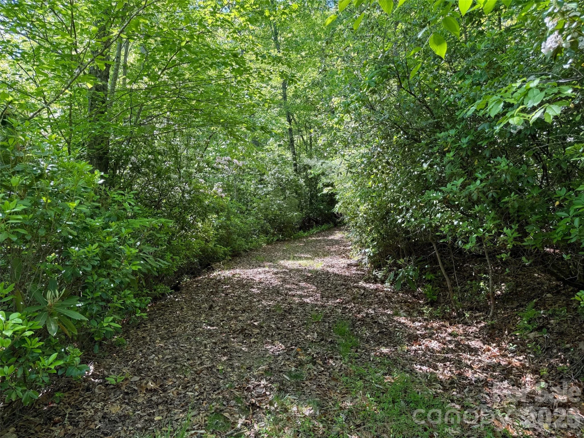 10C Reserve Road - Photo 6