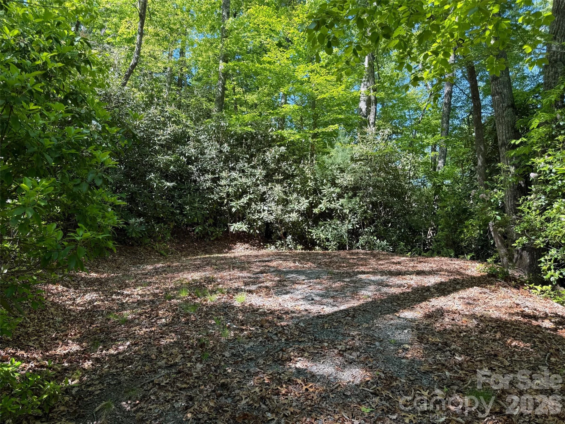 10C Reserve Road - Photo 7
