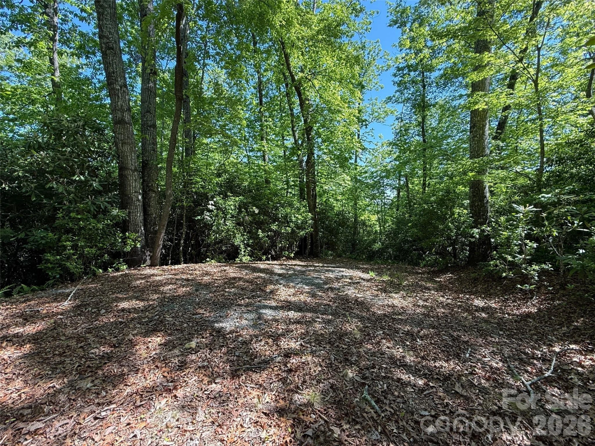 10C Reserve Road - Photo 8