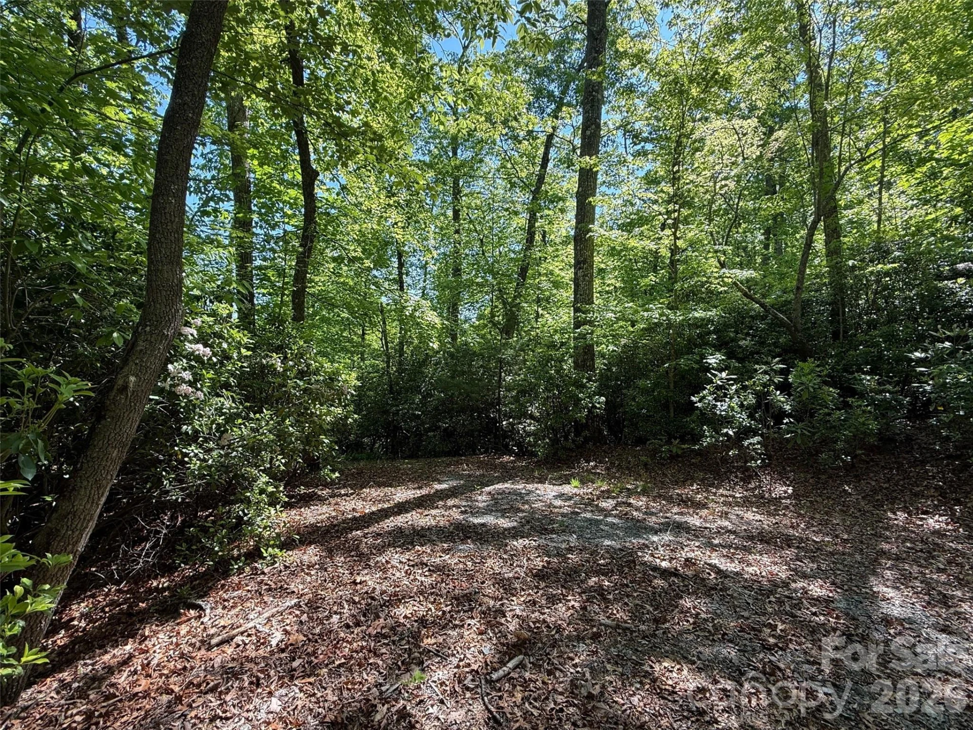 10C Reserve Road - Photo 9