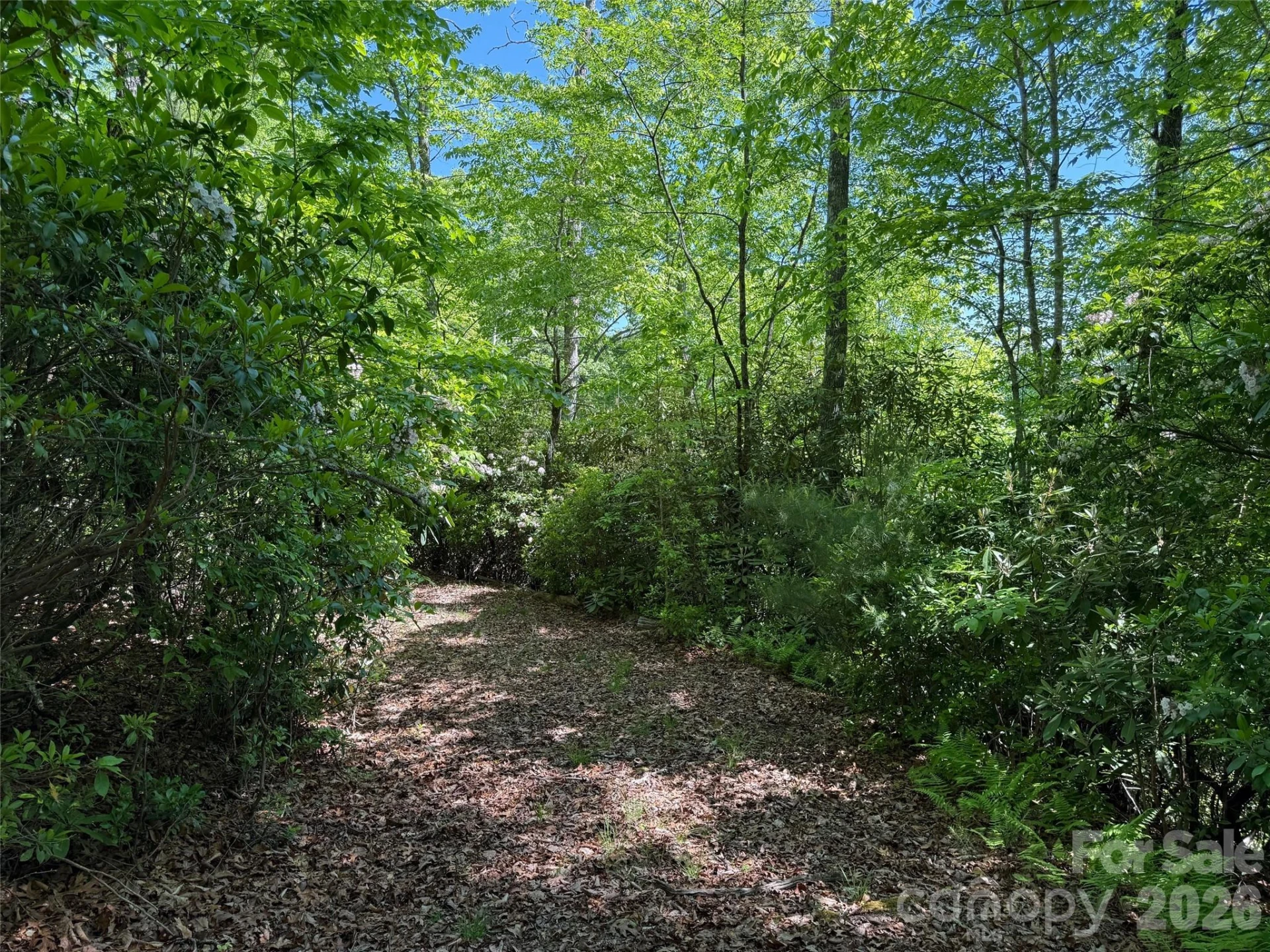 10C Reserve Road - Photo 10