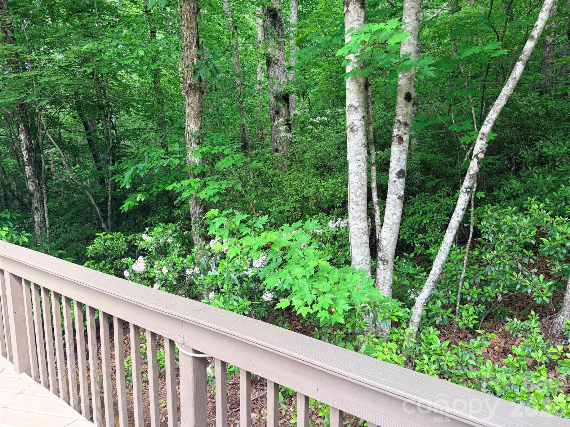 104 Willis Way - Photo 5