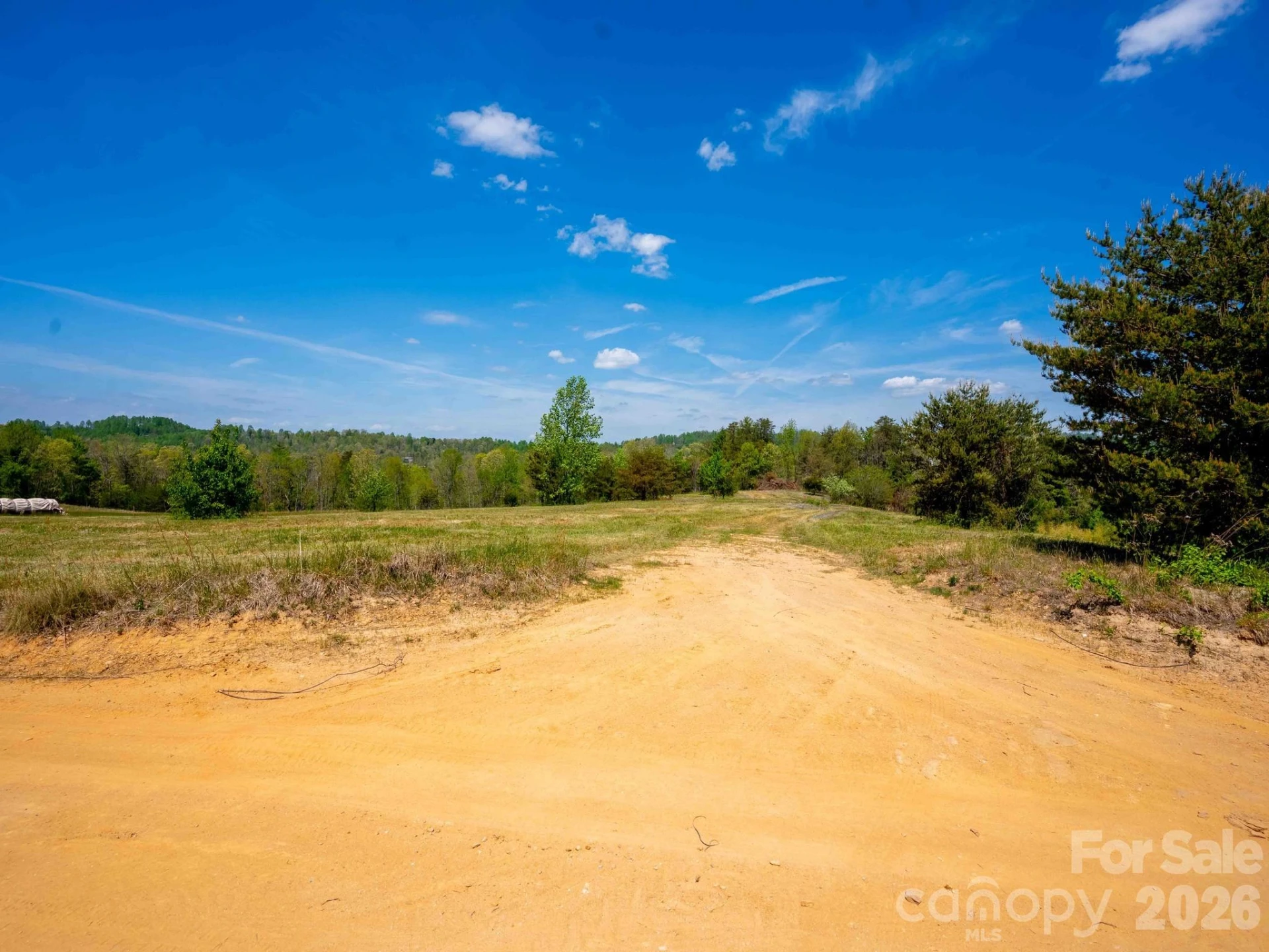3670 Summer Road - Photo 2
