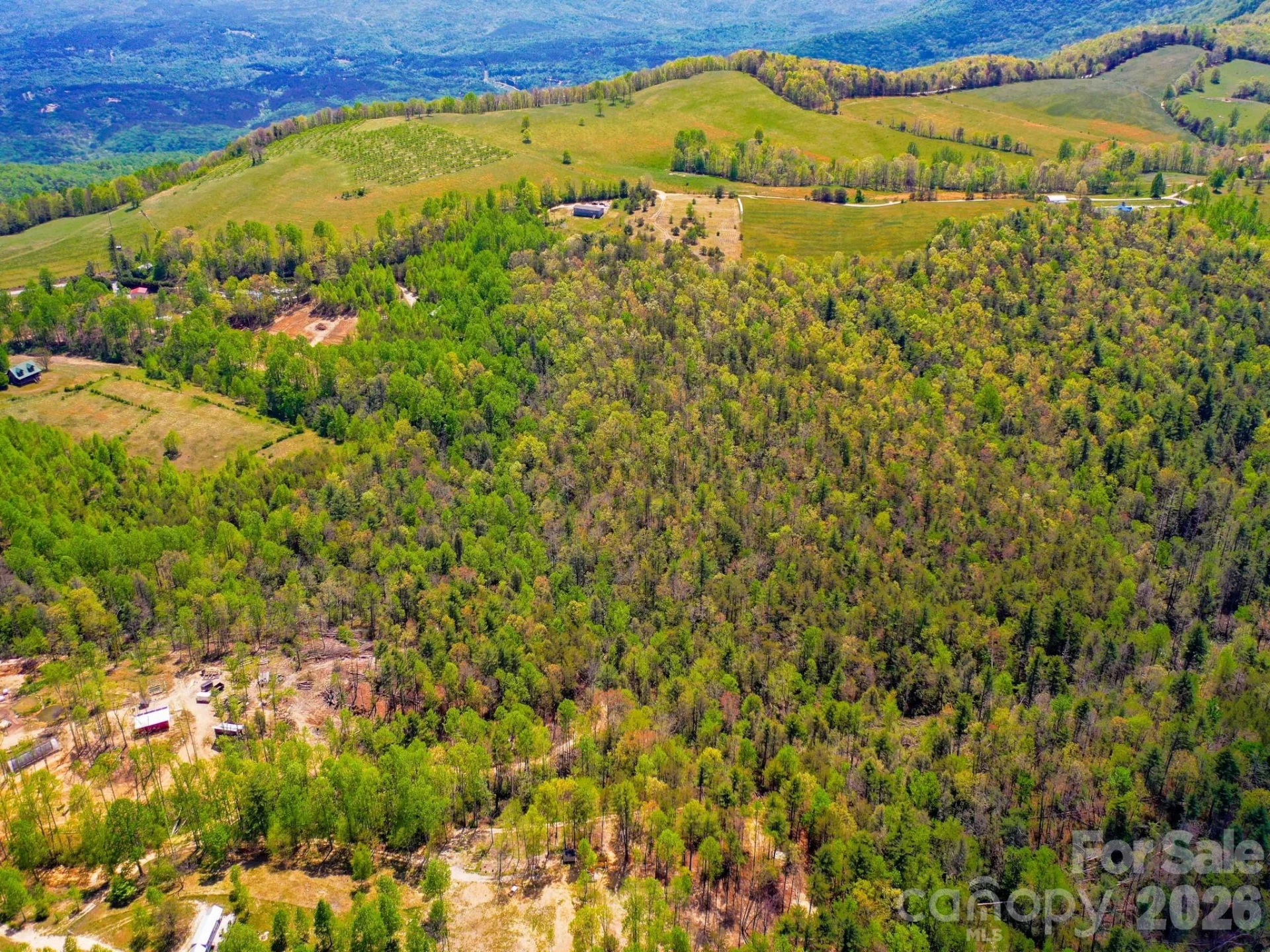 3670 Summer Road - Photo 10