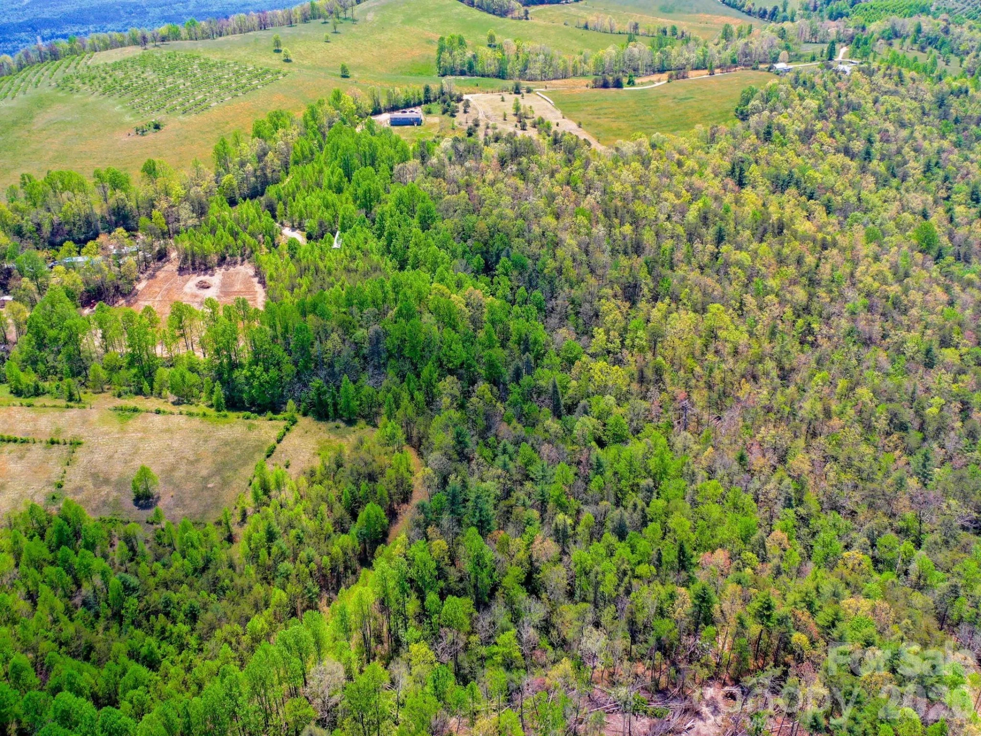 3670 Summer Road - Photo 11