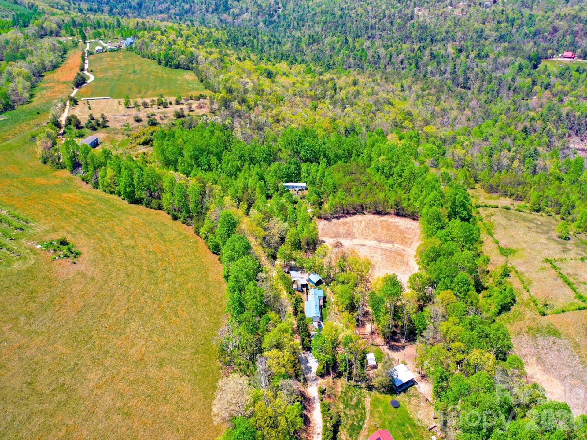 3670 Summer Road - Photo 12