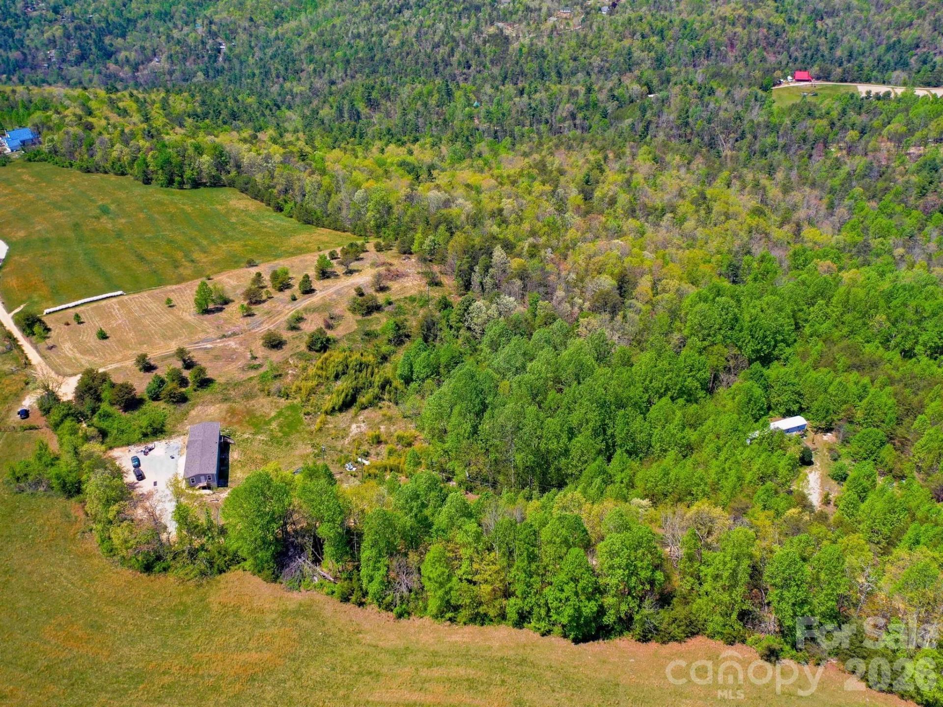 3670 Summer Road - Photo 13
