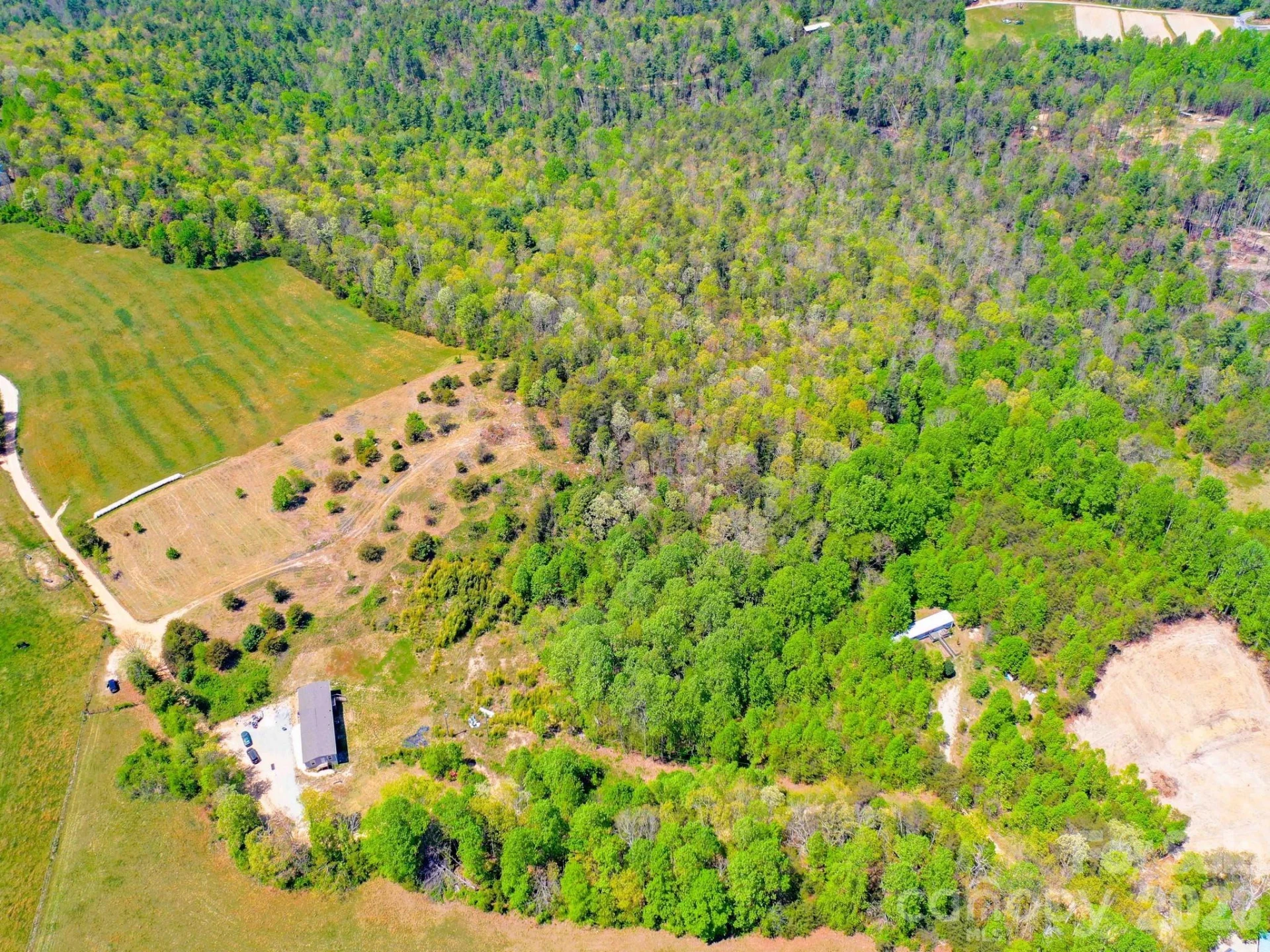 3670 Summer Road - Photo 14
