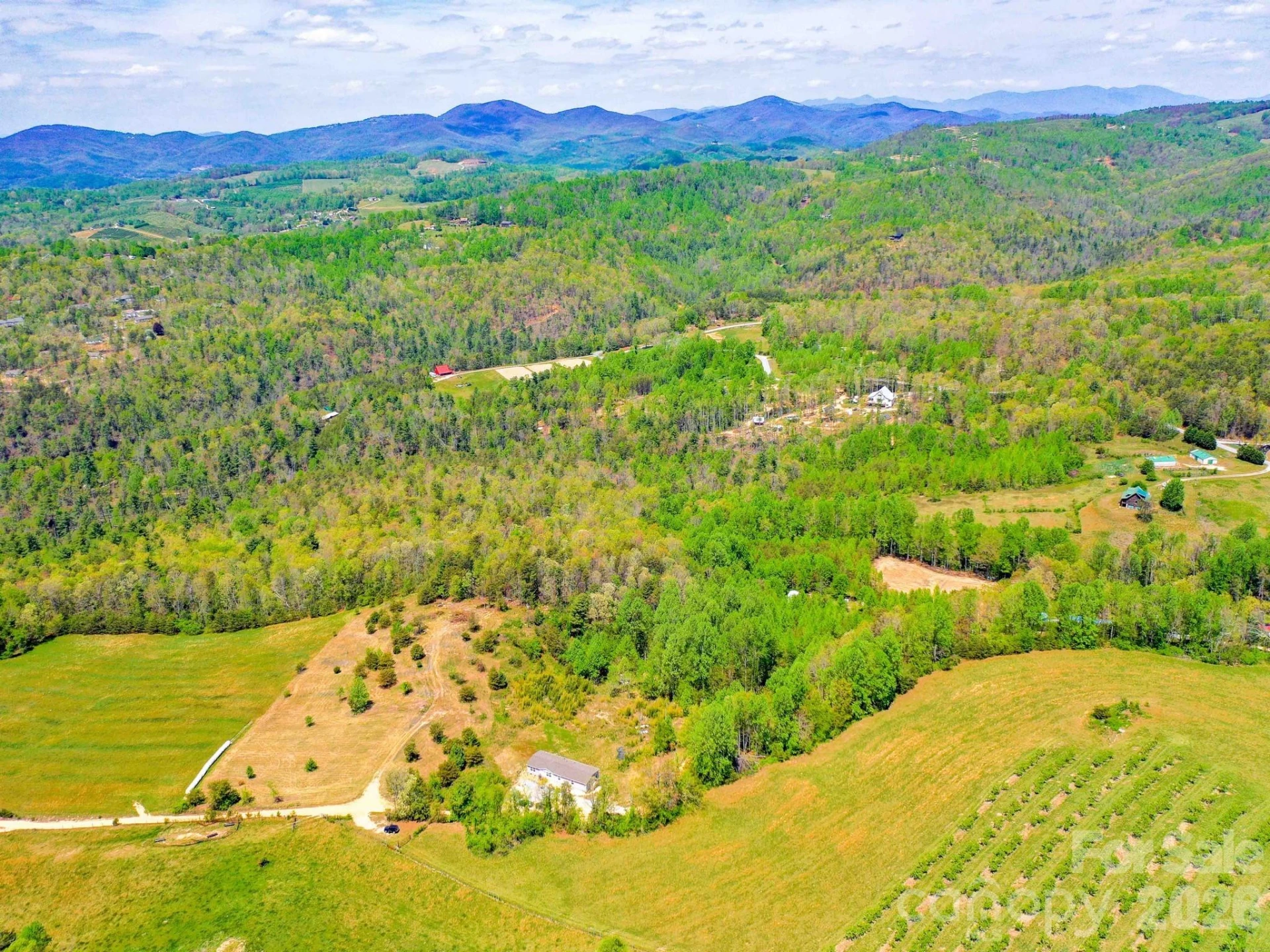 3670 Summer Road - Photo 15