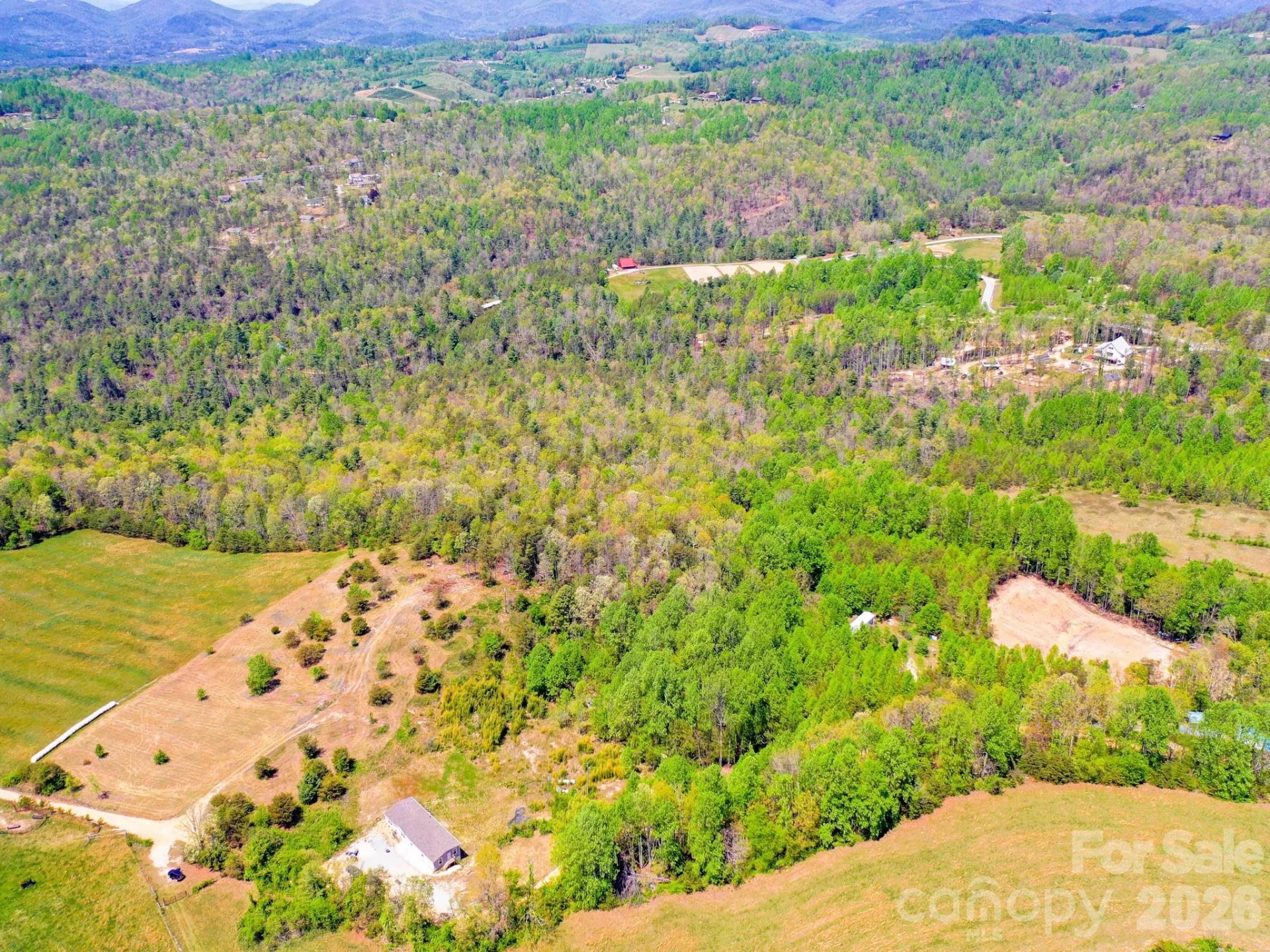 3670 Summer Road - Photo 16