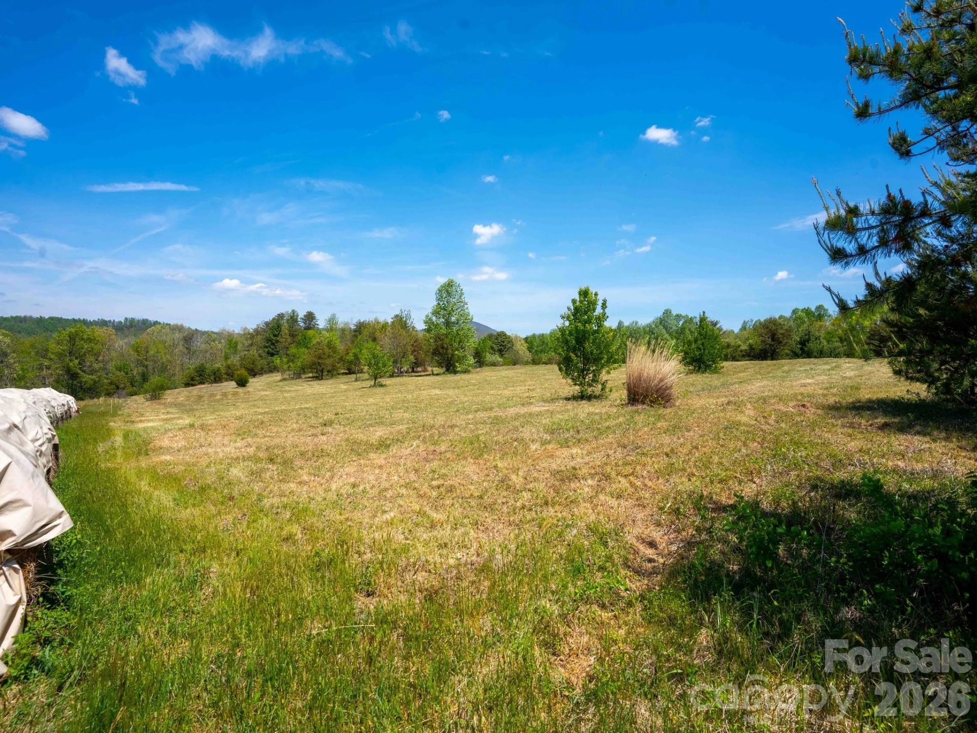 3670 Summer Road - Photo 3