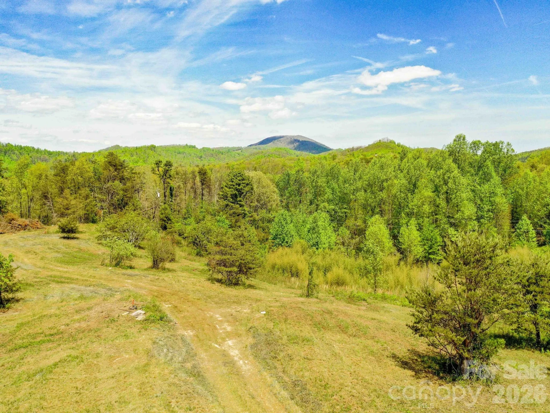 3670 Summer Road - Photo 19