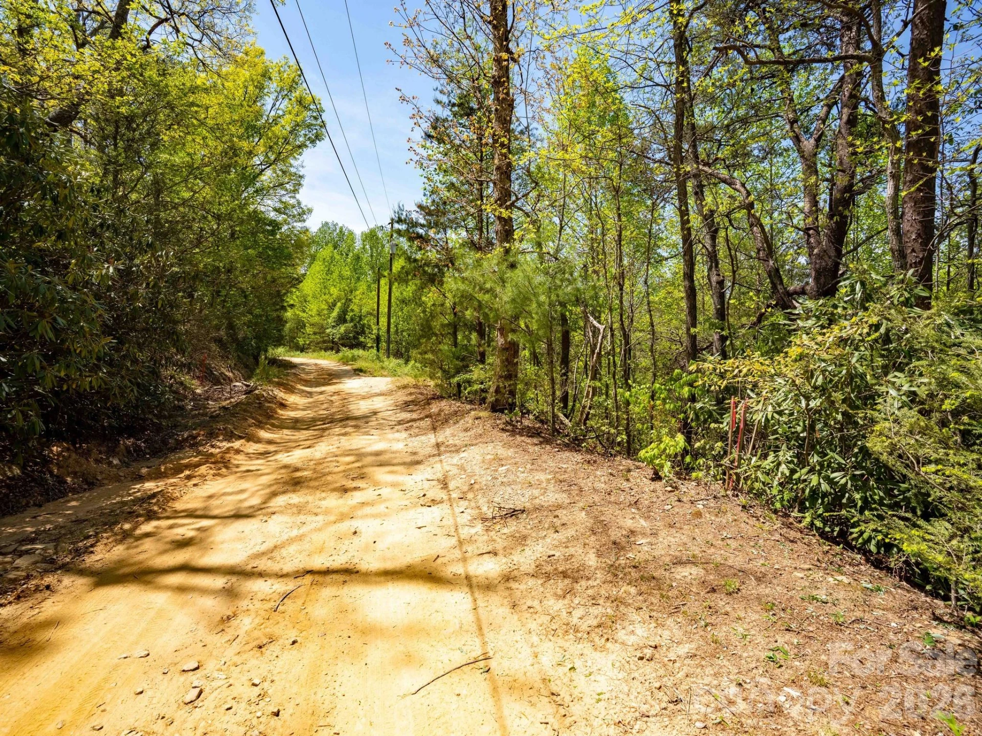 3670 Summer Road - Photo 21