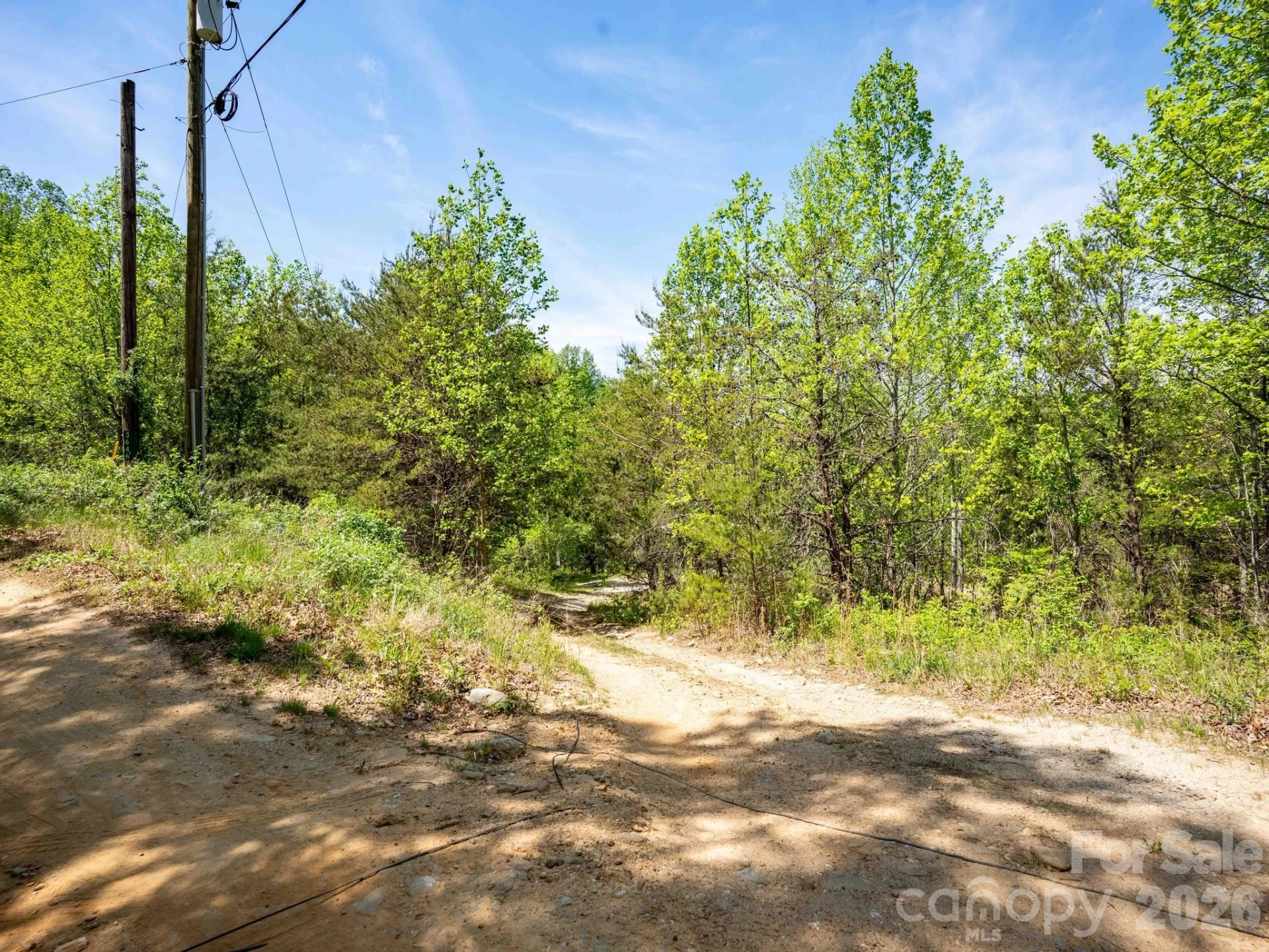 3670 Summer Road - Photo 22