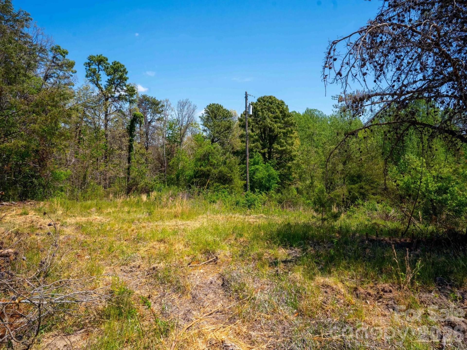 3670 Summer Road - Photo 4