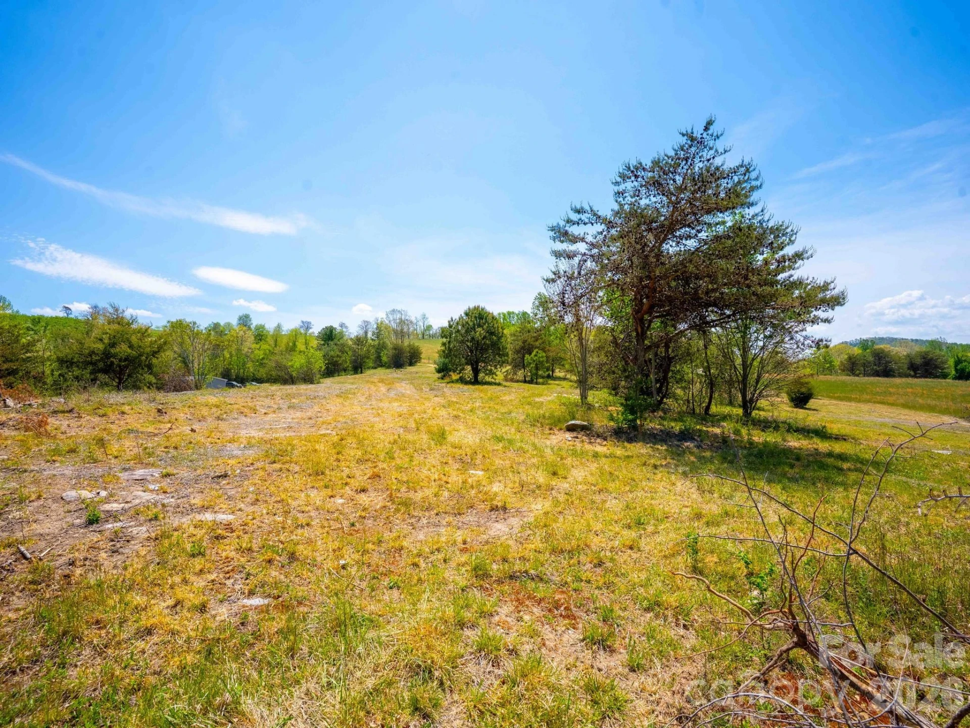 3670 Summer Road - Photo 5
