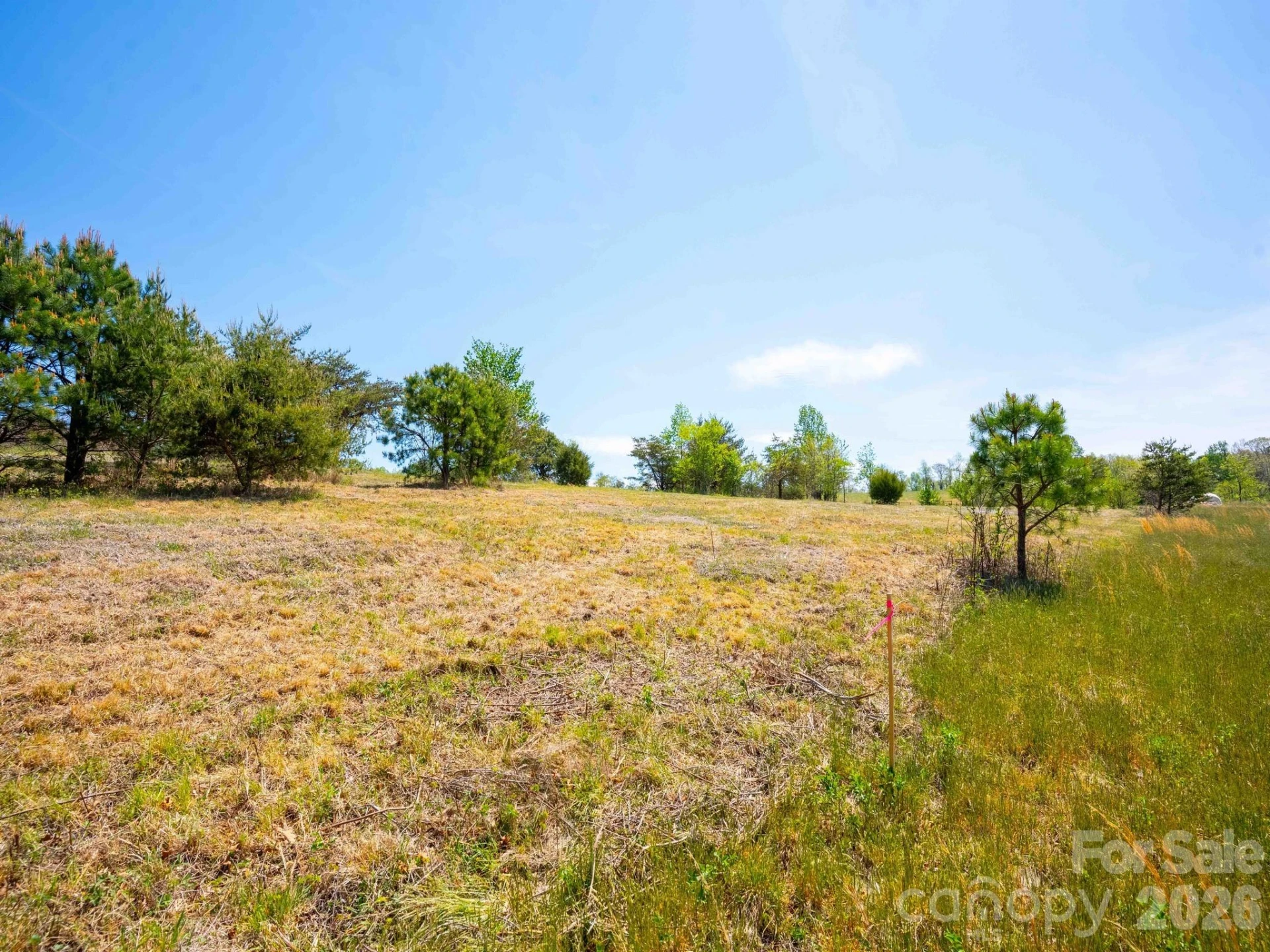 3670 Summer Road - Photo 6