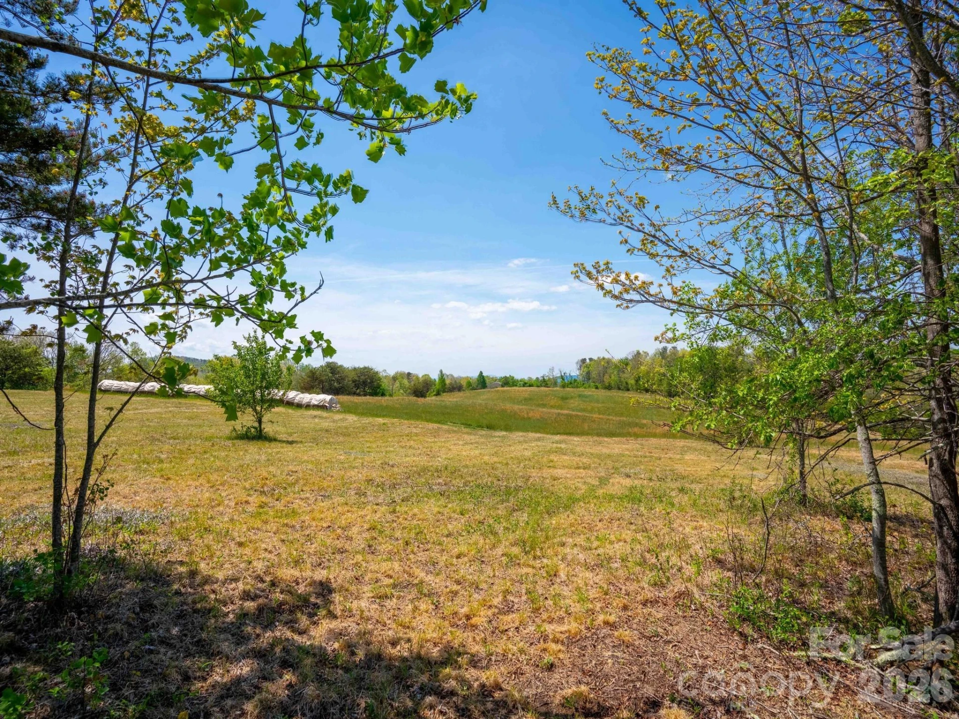 3670 Summer Road - Photo 7