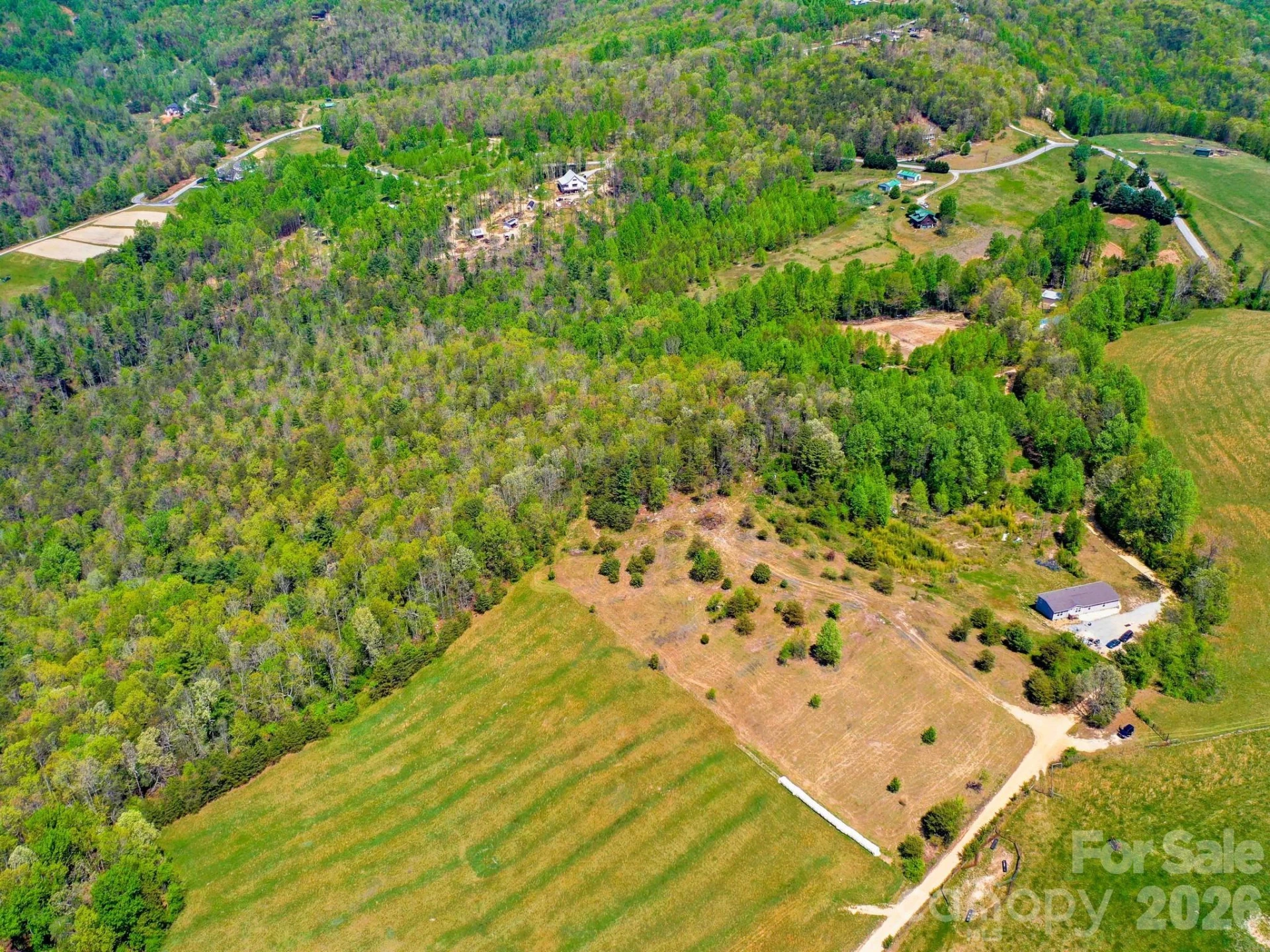 3670 Summer Road - Photo 9
