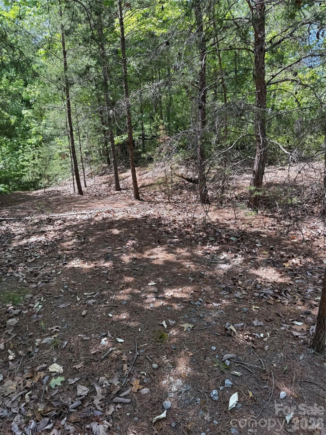105 Scouts Trail #105 - Photo 11
