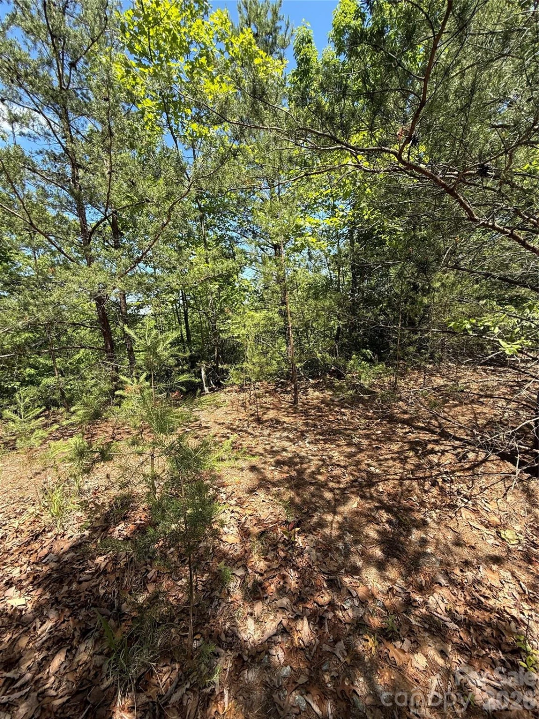 105 Scouts Trail #105 - Photo 12