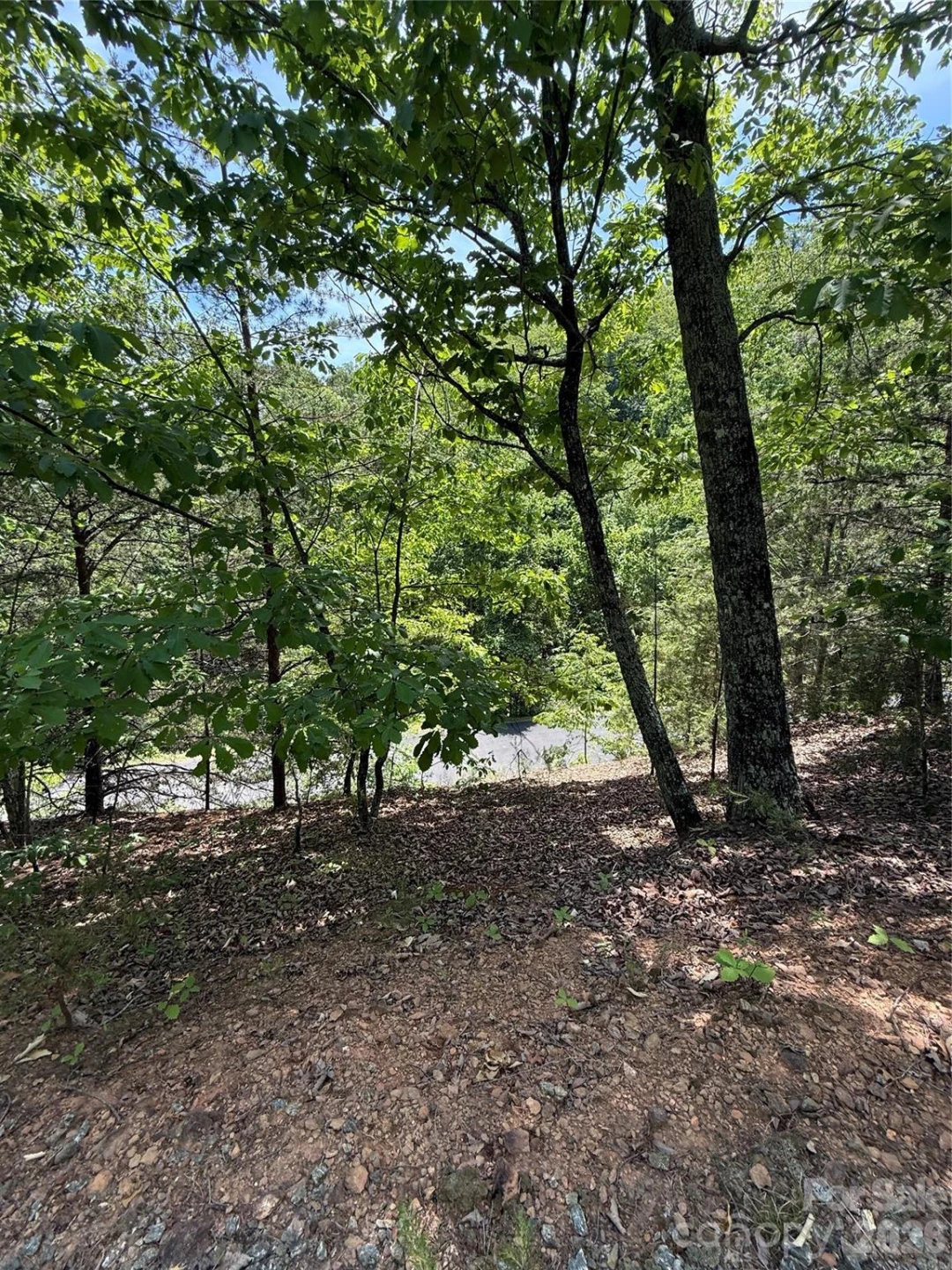 105 Scouts Trail #105 - Photo 13