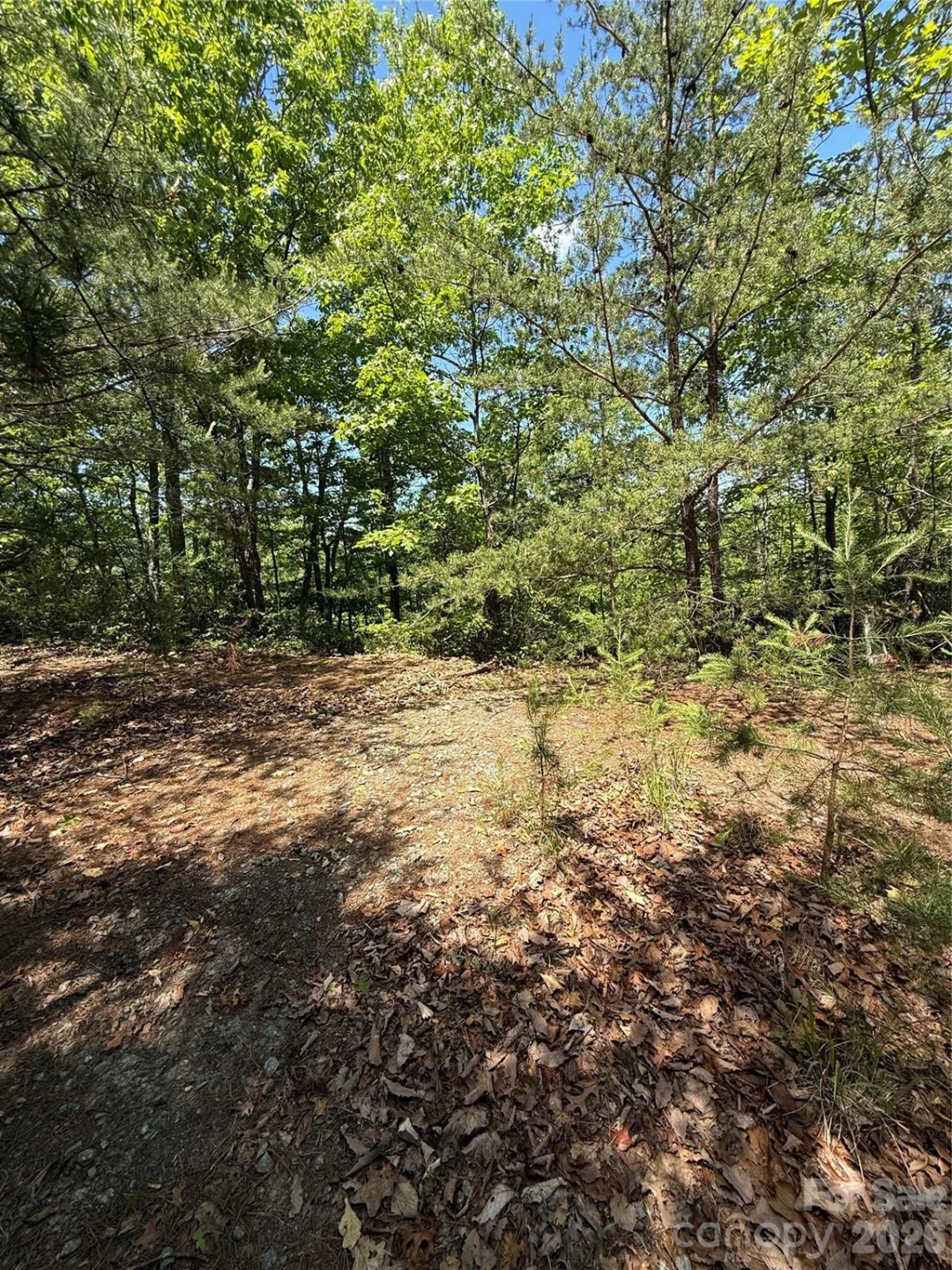 105 Scouts Trail #105 - Photo 14